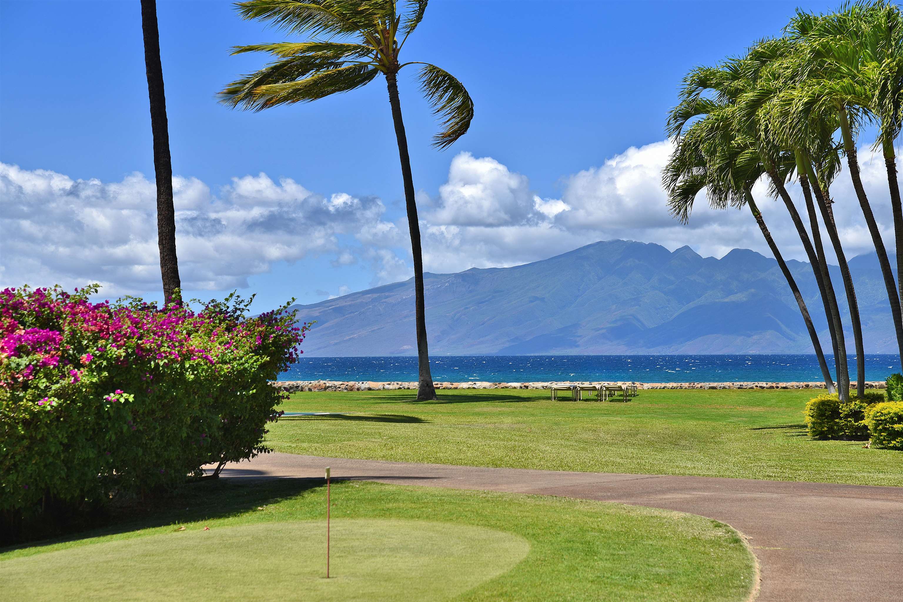 Papakea Resort I II condo # D101, Lahaina, Hawaii - photo 30 of 42