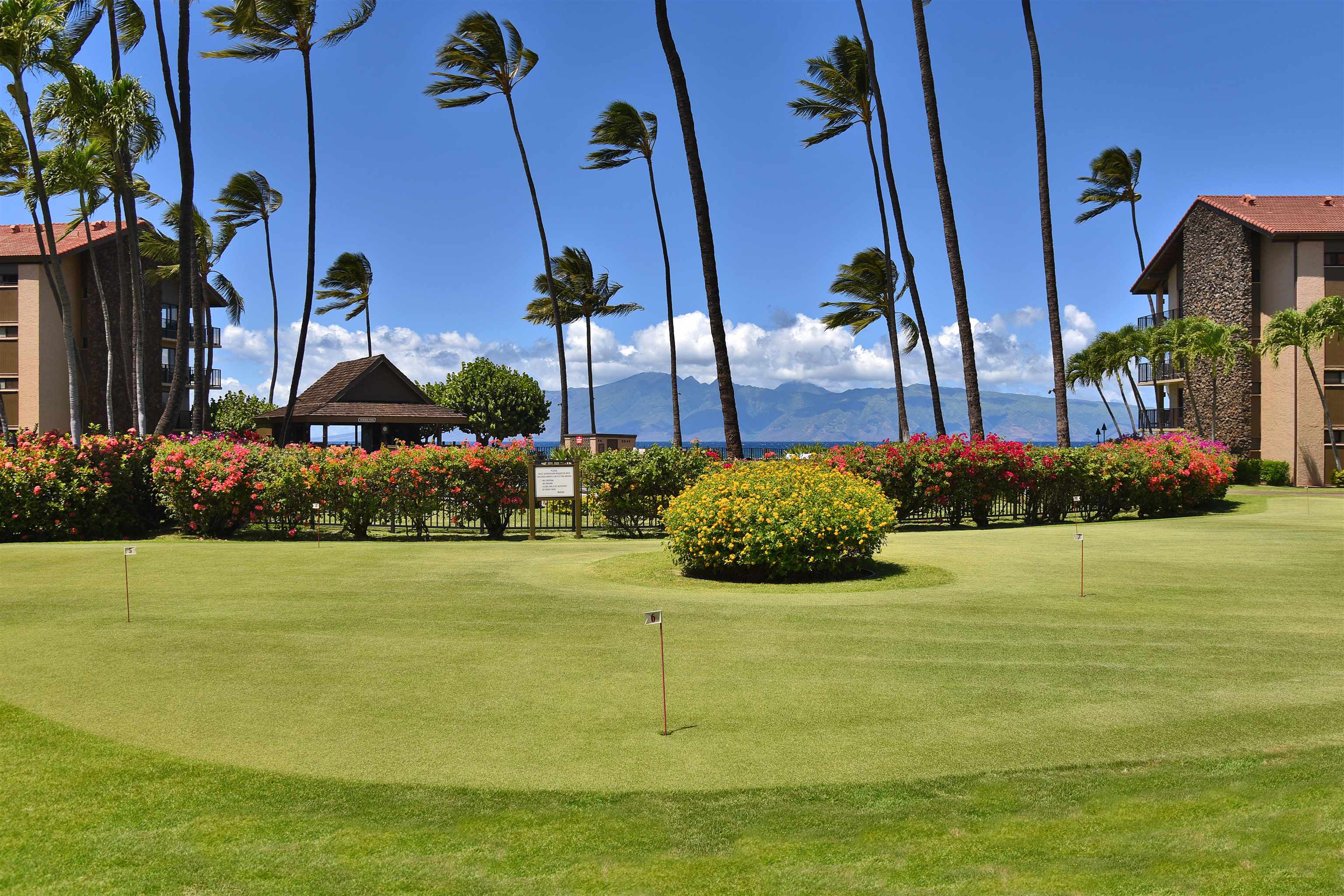 Papakea Resort I II condo # D101, Lahaina, Hawaii - photo 31 of 42