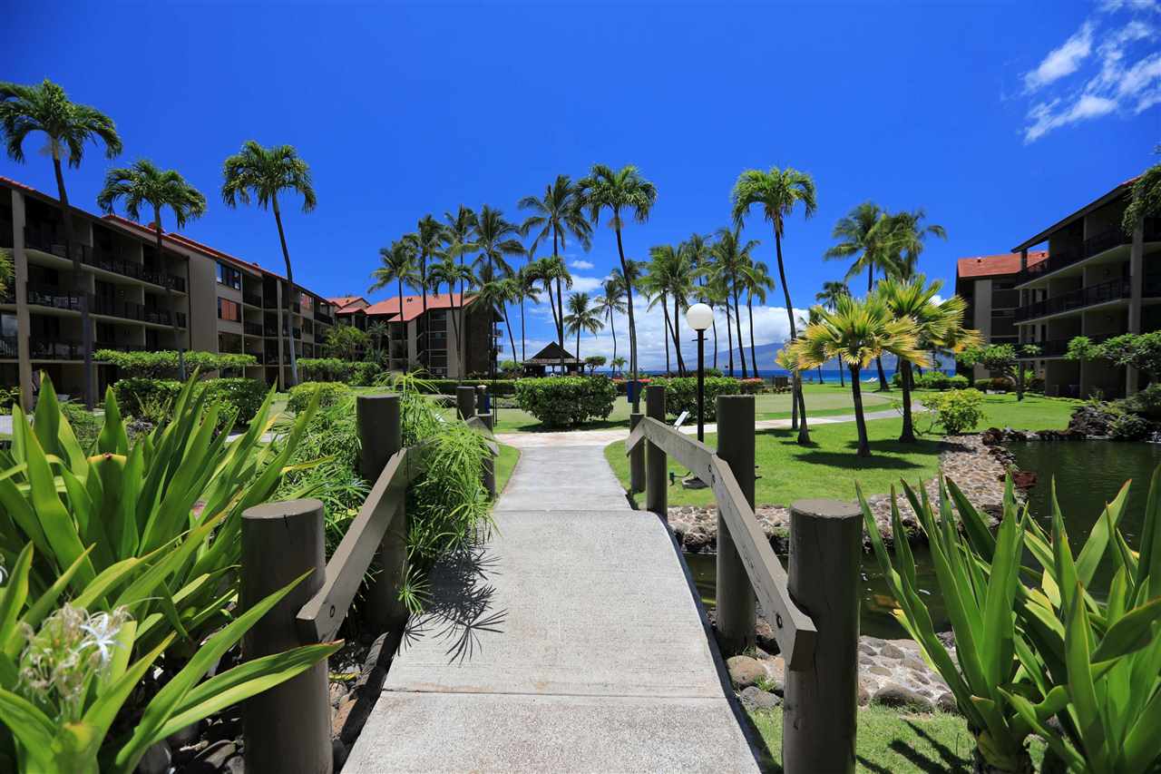 Papakea Resort I II condo # D104, Lahaina, Hawaii - photo 14 of 28