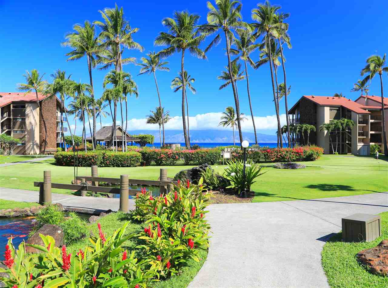 Papakea Resort I II condo # D104, Lahaina, Hawaii - photo 23 of 28