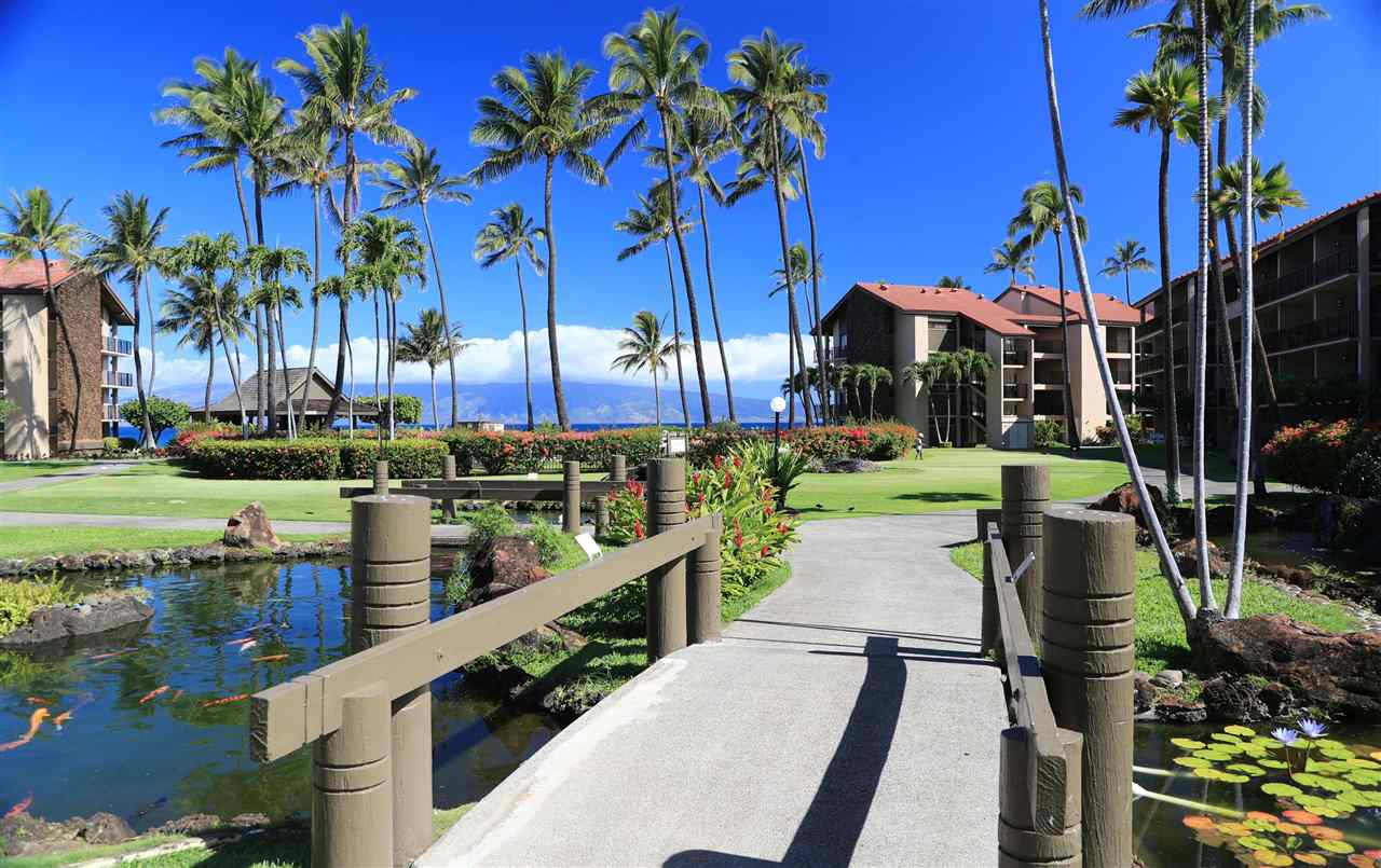 Papakea Resort I II condo # D104, Lahaina, Hawaii - photo 27 of 28