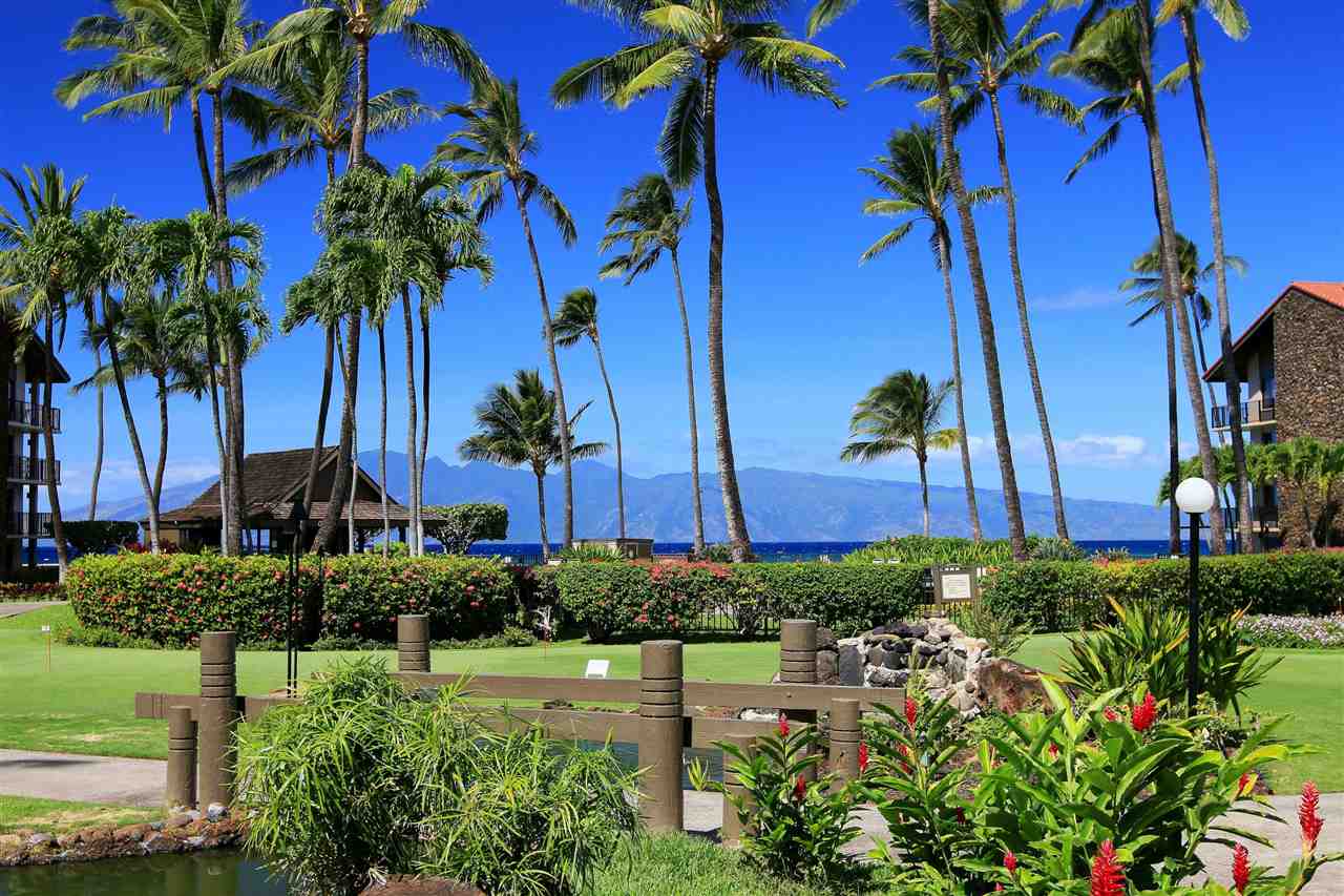 Papakea Resort I II condo # D104, Lahaina, Hawaii - photo 28 of 28