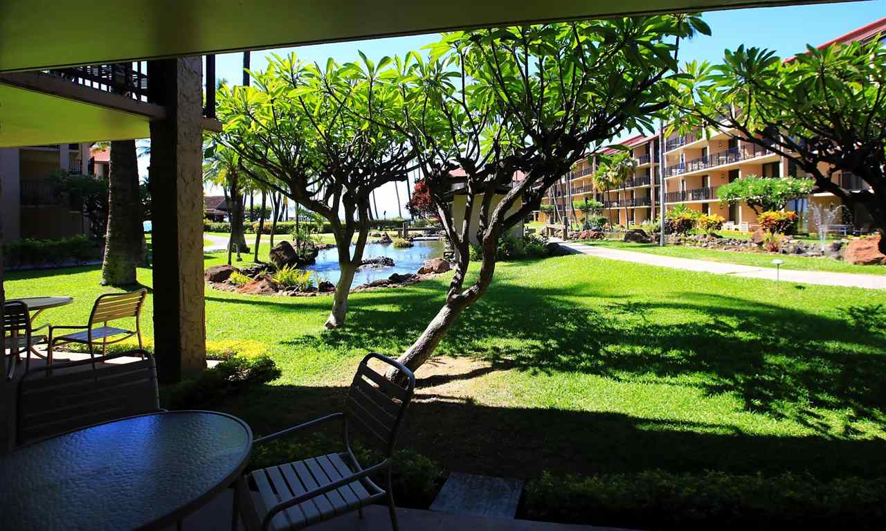 Papakea Resort I II condo # D-105, Lahaina, Hawaii - photo 22 of 29