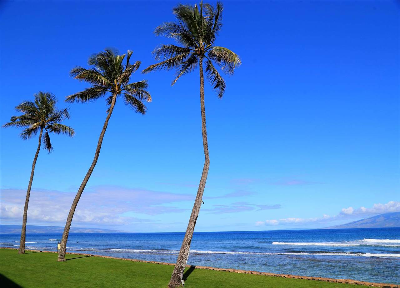 Papakea Resort I II condo # D-105, Lahaina, Hawaii - photo 24 of 29