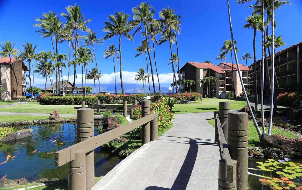 Papakea Resort I II condo # D-105, Lahaina, Hawaii - photo 26 of 29