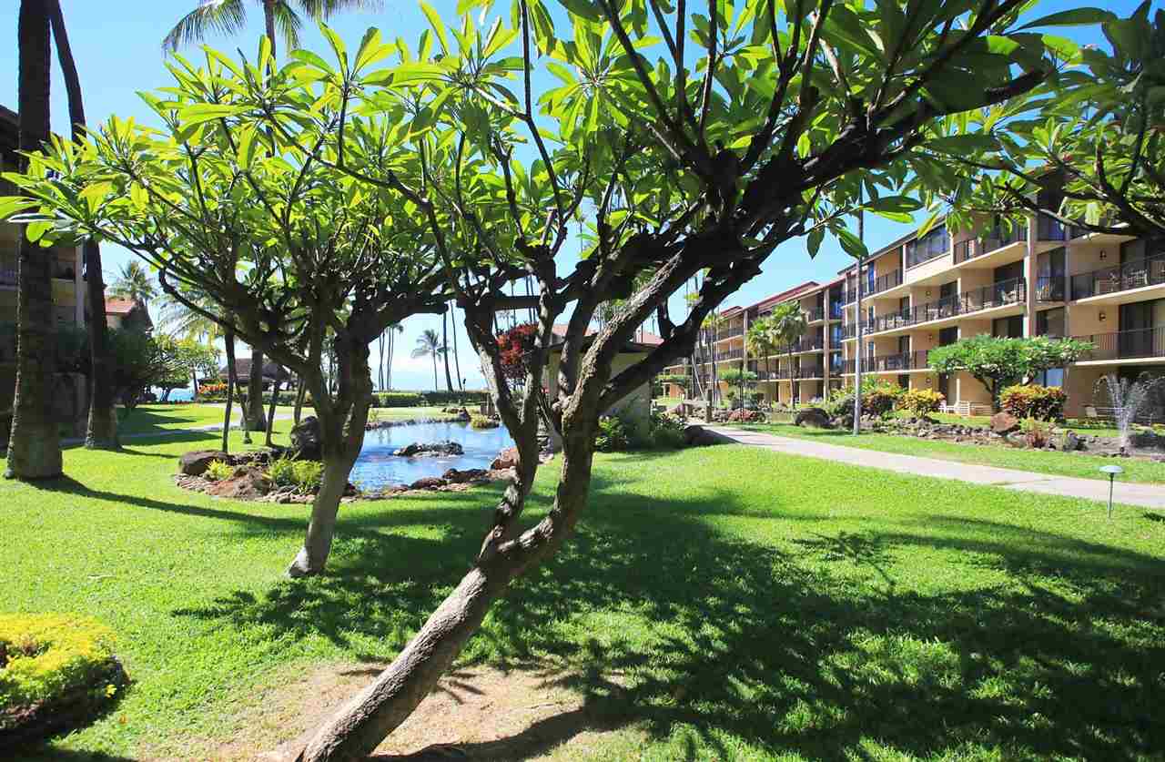 Papakea Resort I II condo # D-105, Lahaina, Hawaii - photo 4 of 29