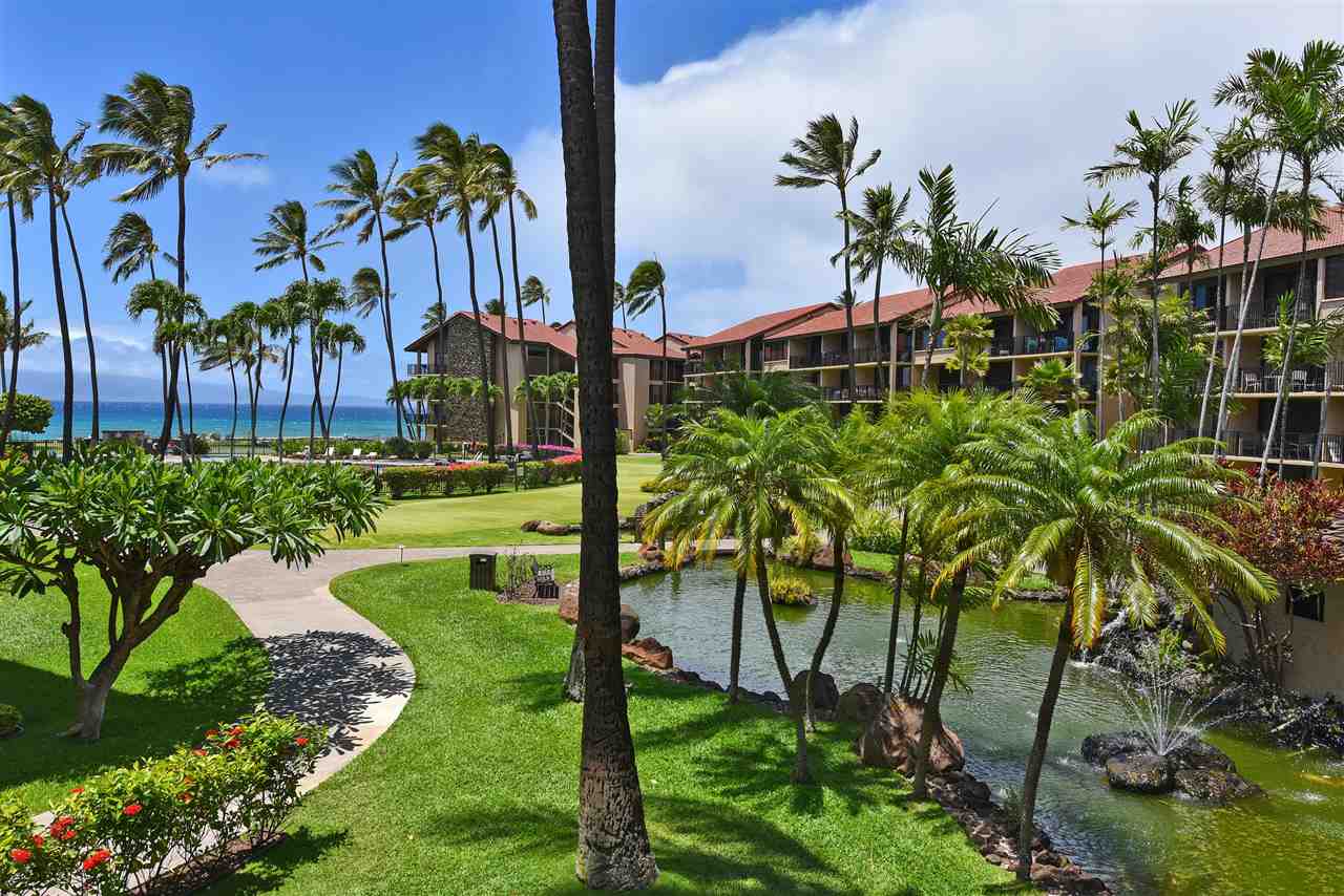 Papakea Resort I II condo # D202, Lahaina, Hawaii - photo 30 of 30