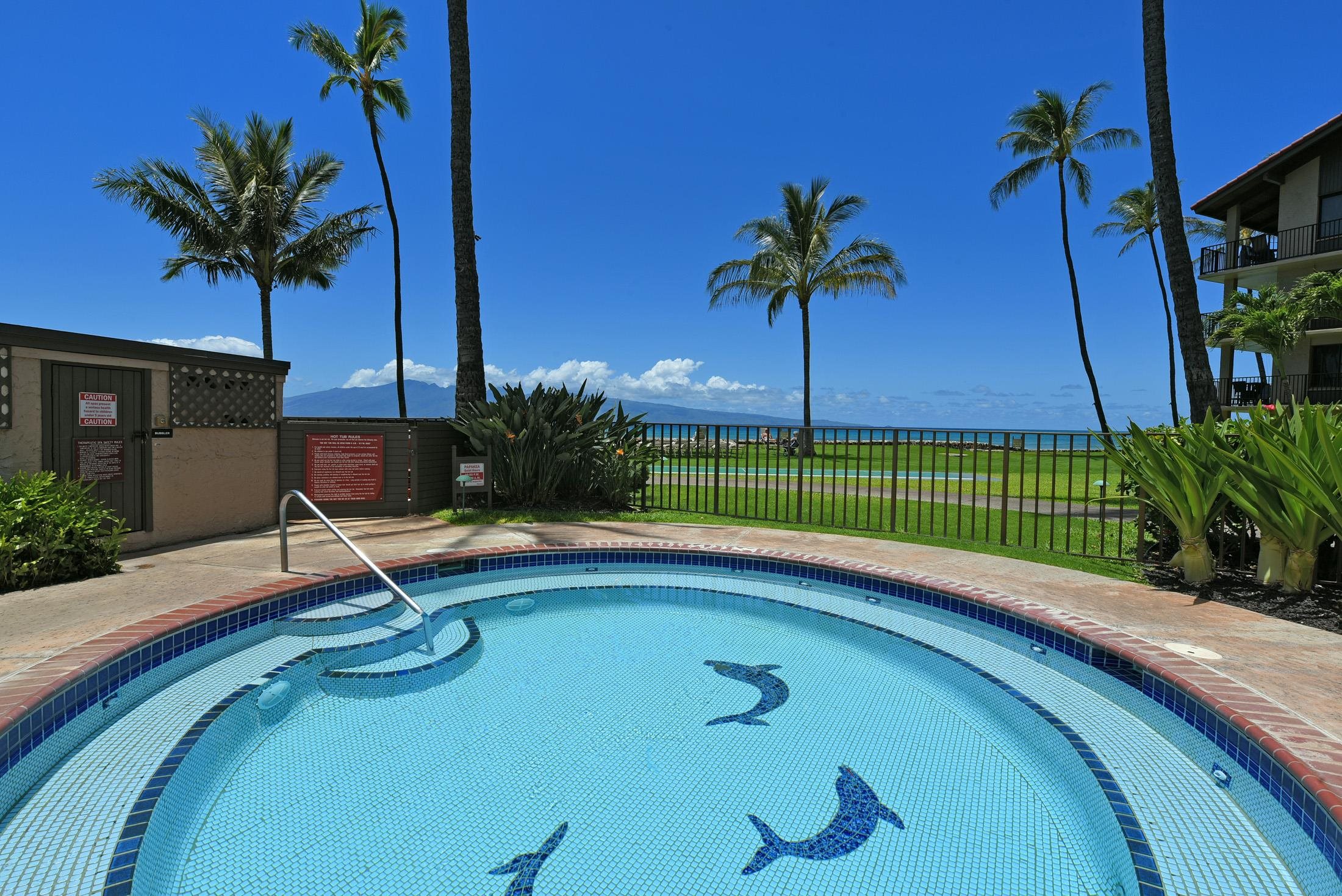Papakea Resort I II condo # D203, Lahaina, Hawaii - photo 7 of 10