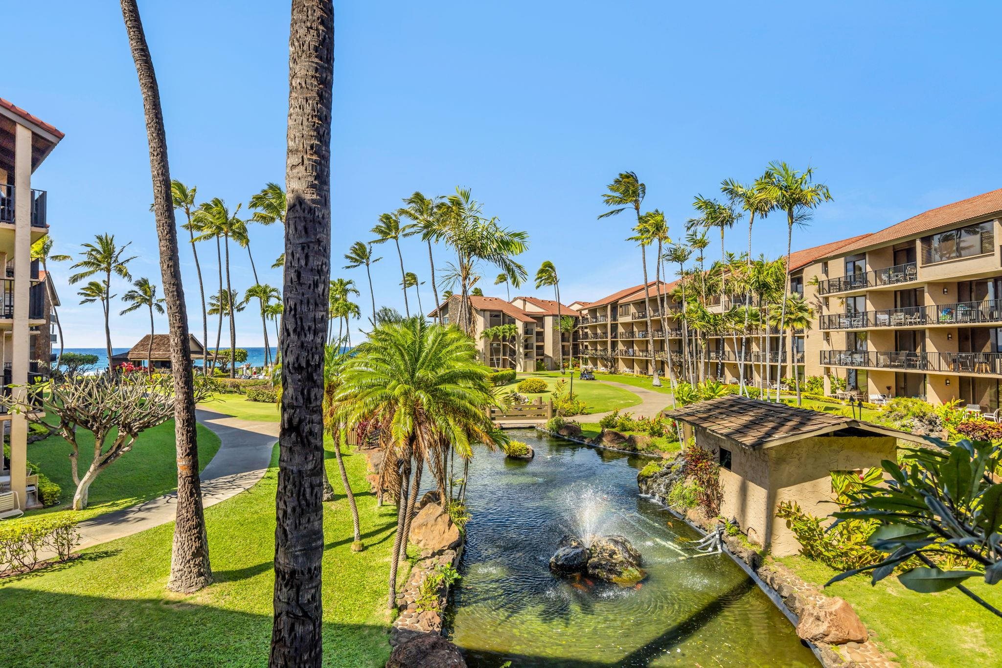 Papakea Resort I II condo # D-204, Lahaina, Hawaii - photo 28 of 43