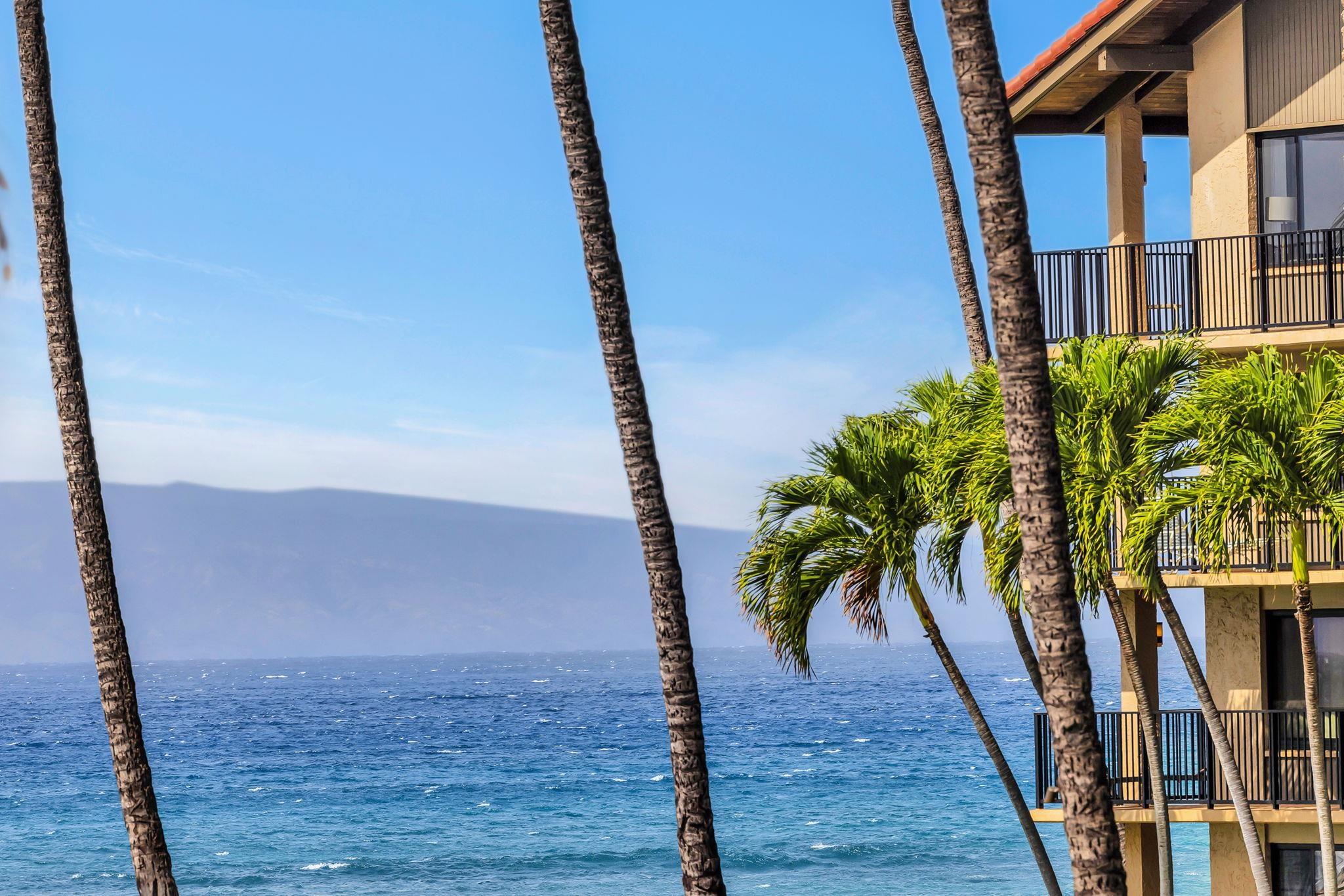 Papakea Resort I II condo # D-204, Lahaina, Hawaii - photo 30 of 43