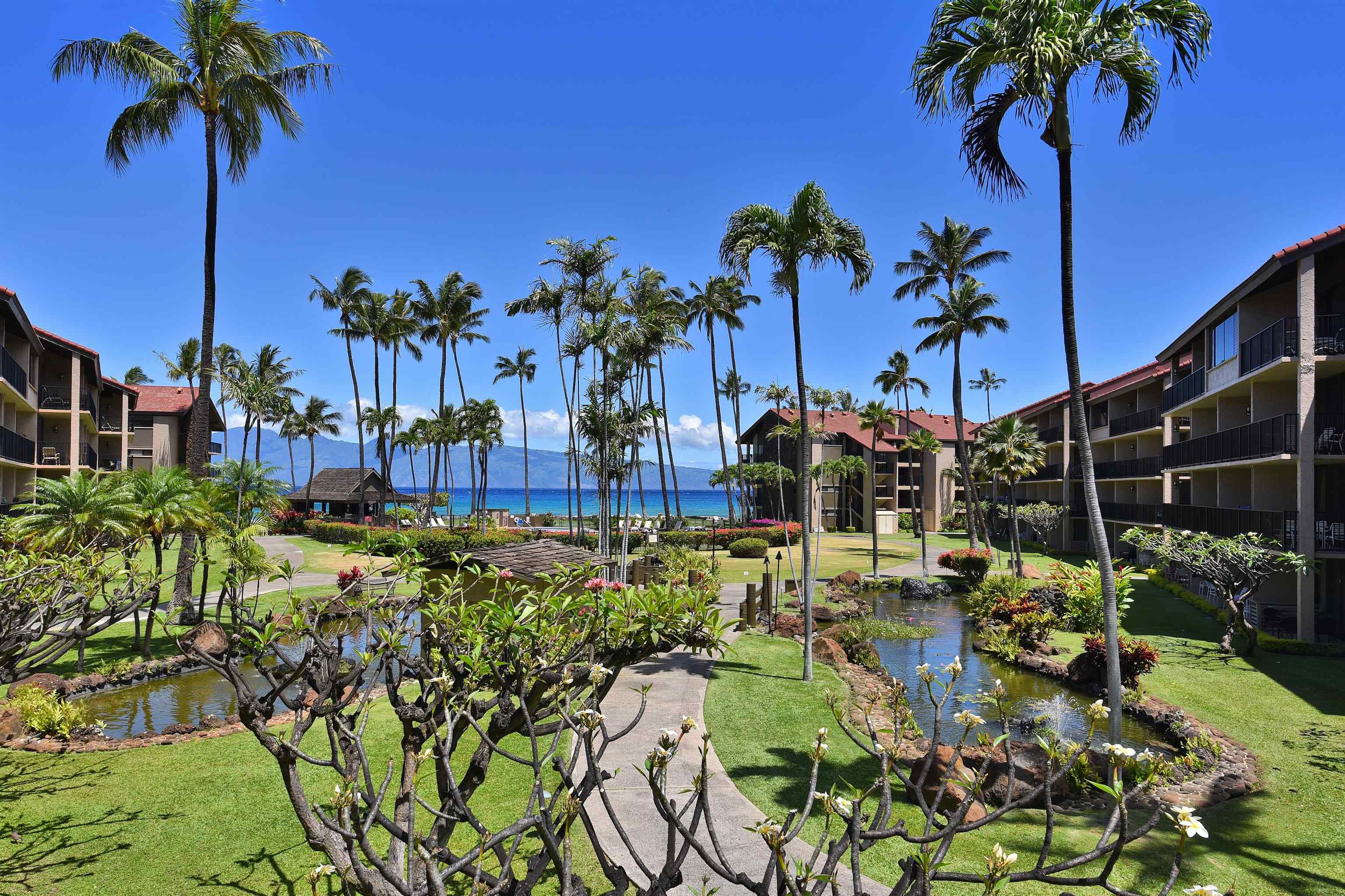 Papakea Resort I II condo # D207, Lahaina, Hawaii - photo 2 of 47