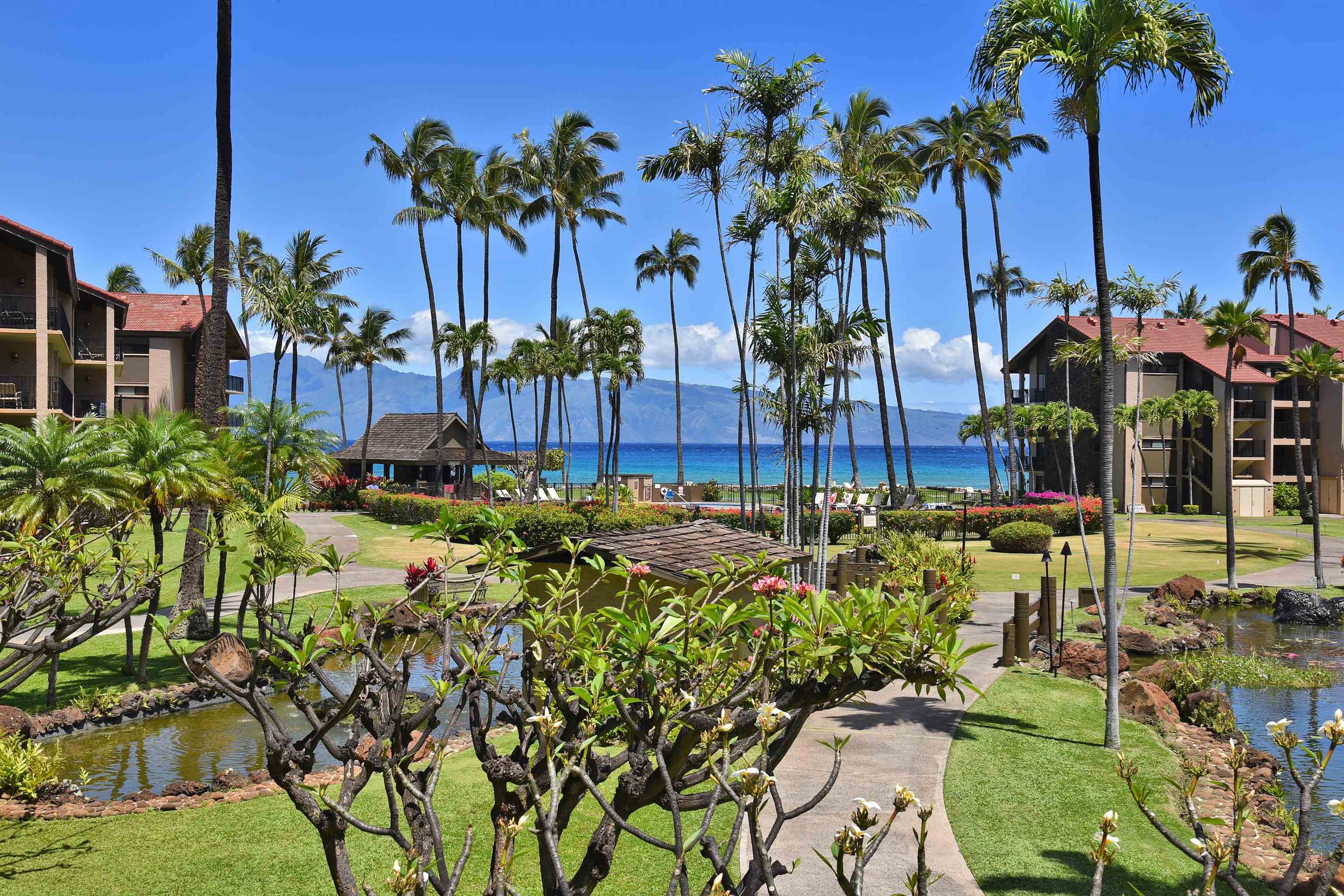Papakea Resort I II condo # D207, Lahaina, Hawaii - photo 3 of 47