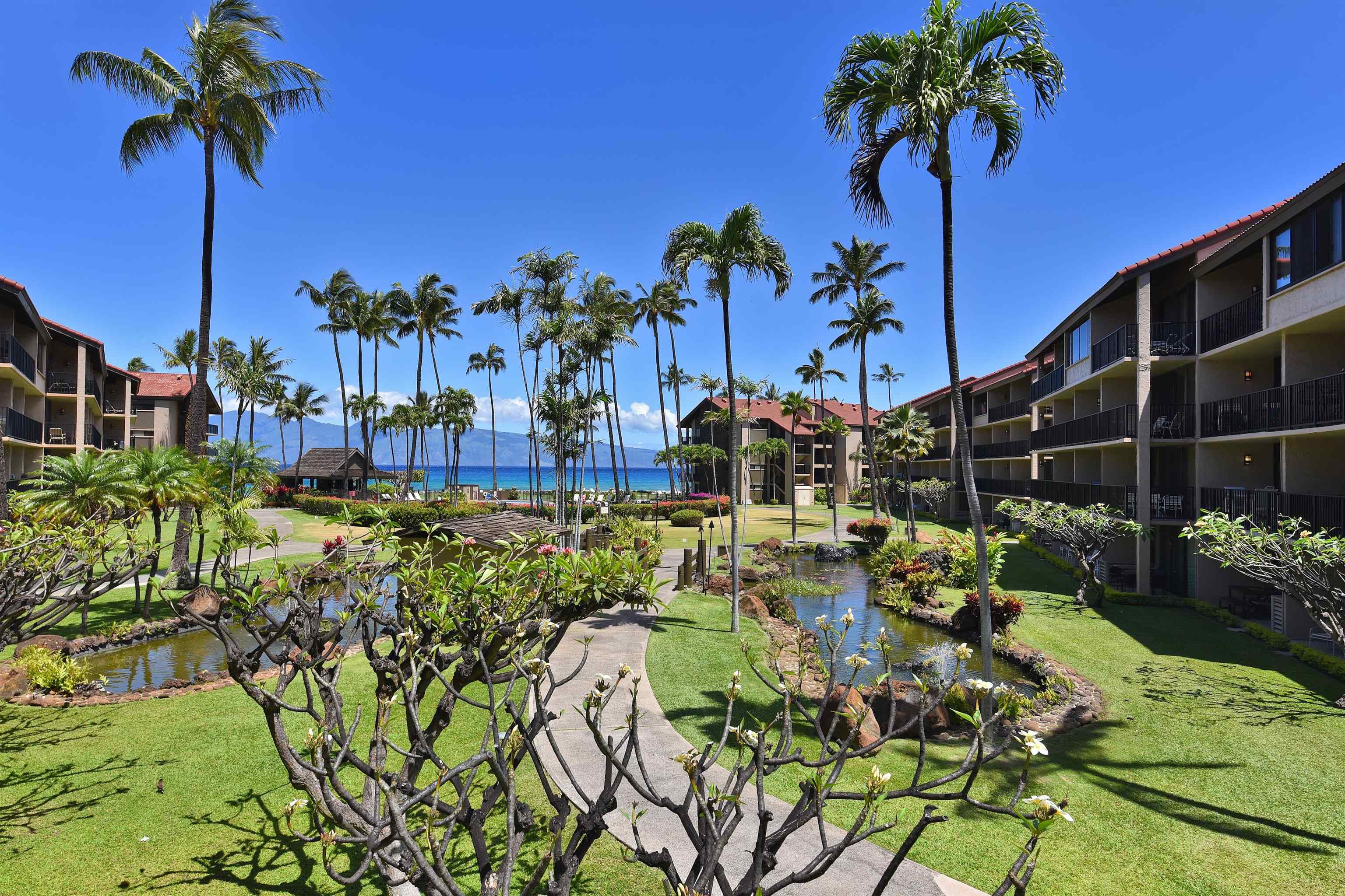 Papakea Resort I II condo # D207, Lahaina, Hawaii - photo 30 of 47