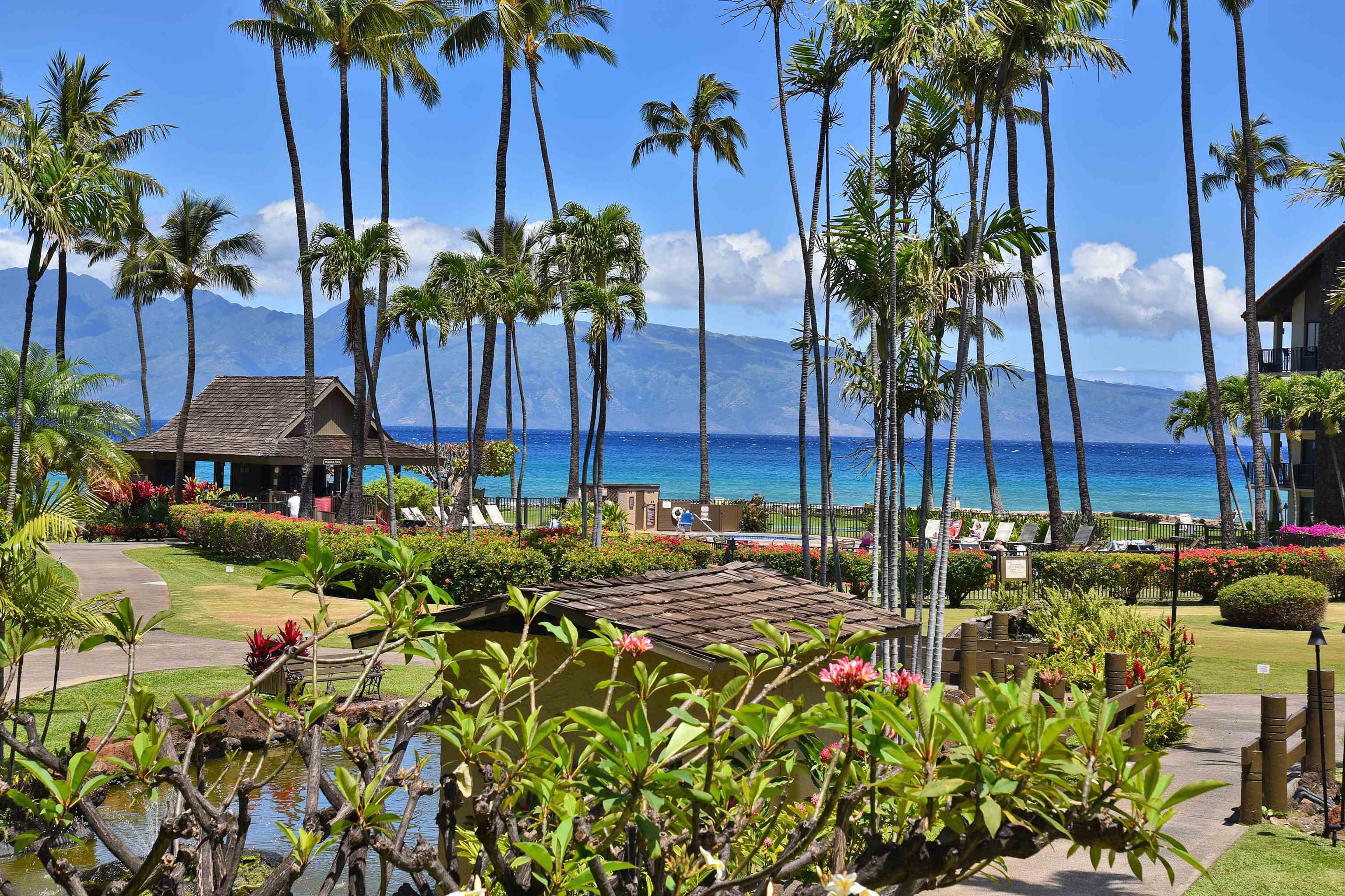 Papakea Resort I II condo # D207, Lahaina, Hawaii - photo 31 of 47