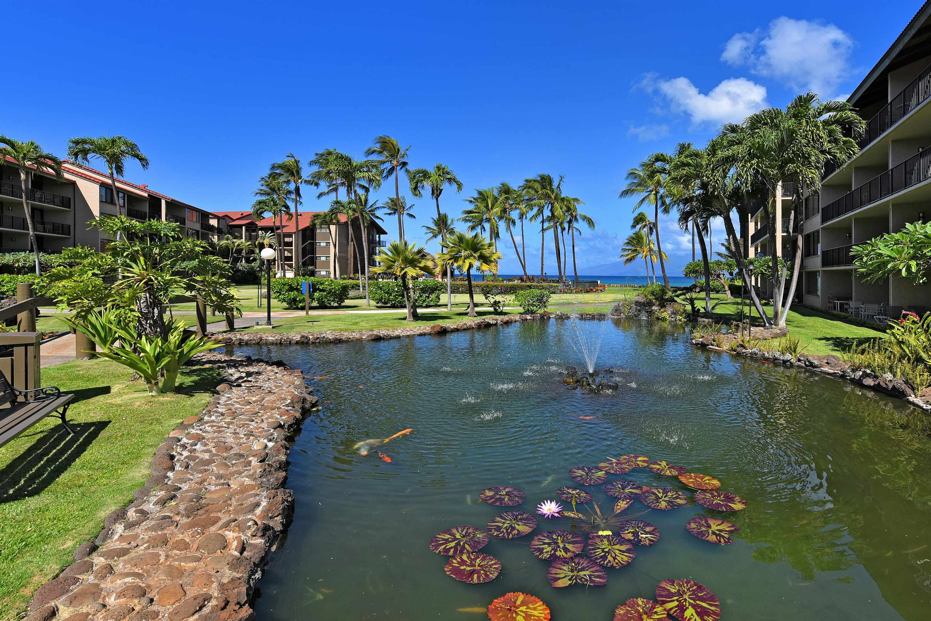 Papakea Resort I II condo # D207, Lahaina, Hawaii - photo 34 of 47