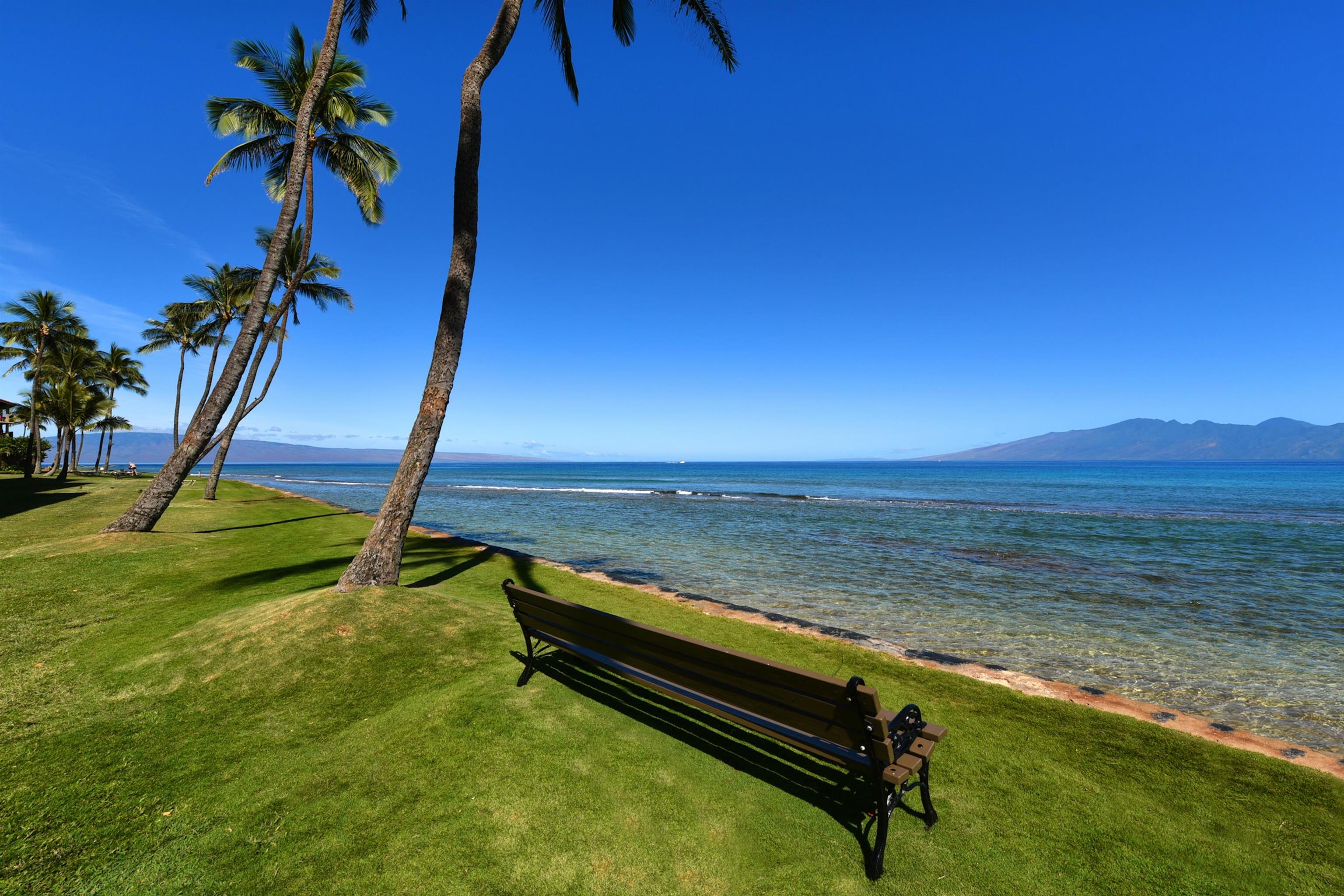 Papakea Resort I II condo # D207, Lahaina, Hawaii - photo 36 of 47