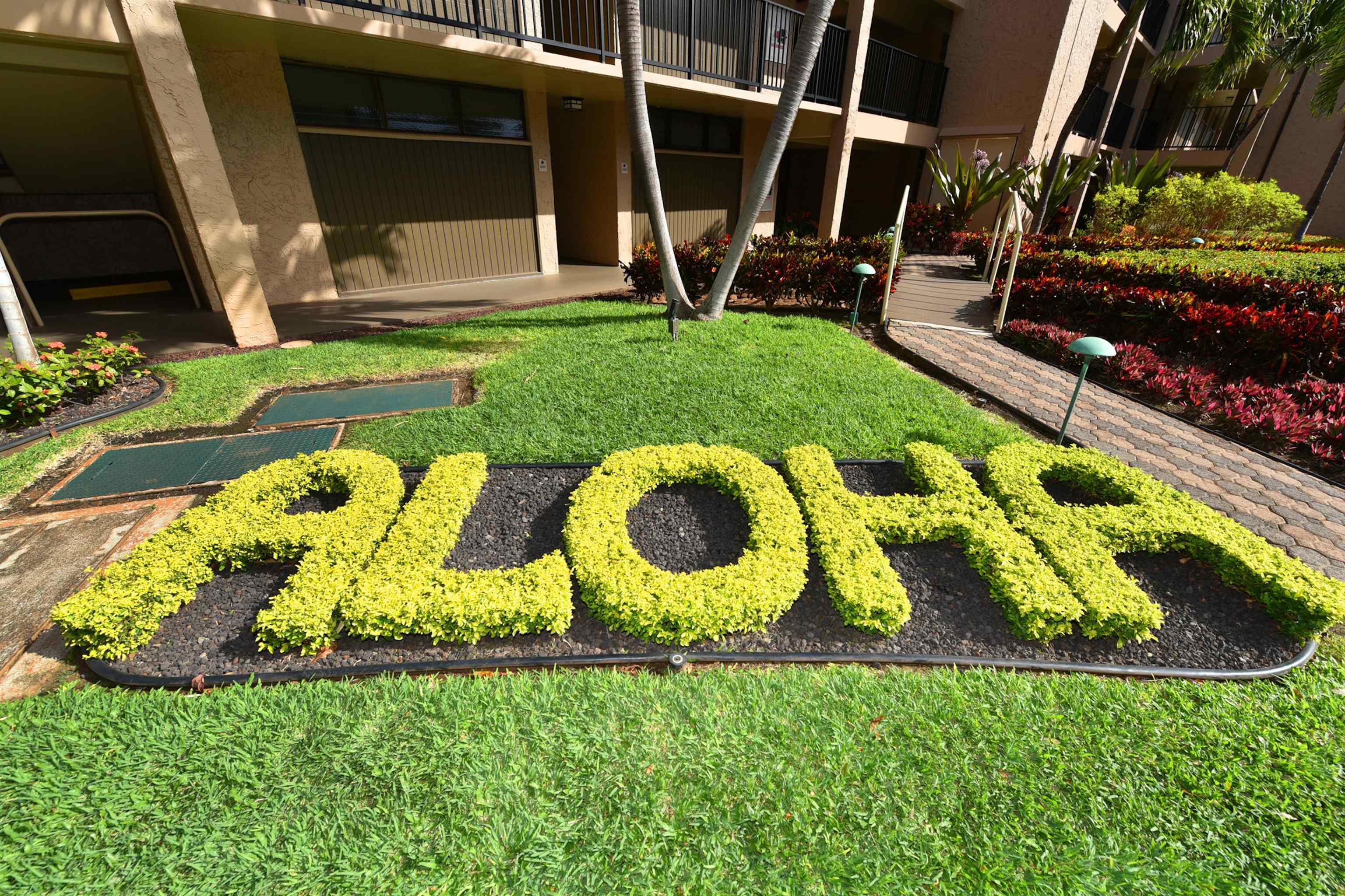 Papakea Resort I II condo # D207, Lahaina, Hawaii - photo 47 of 47