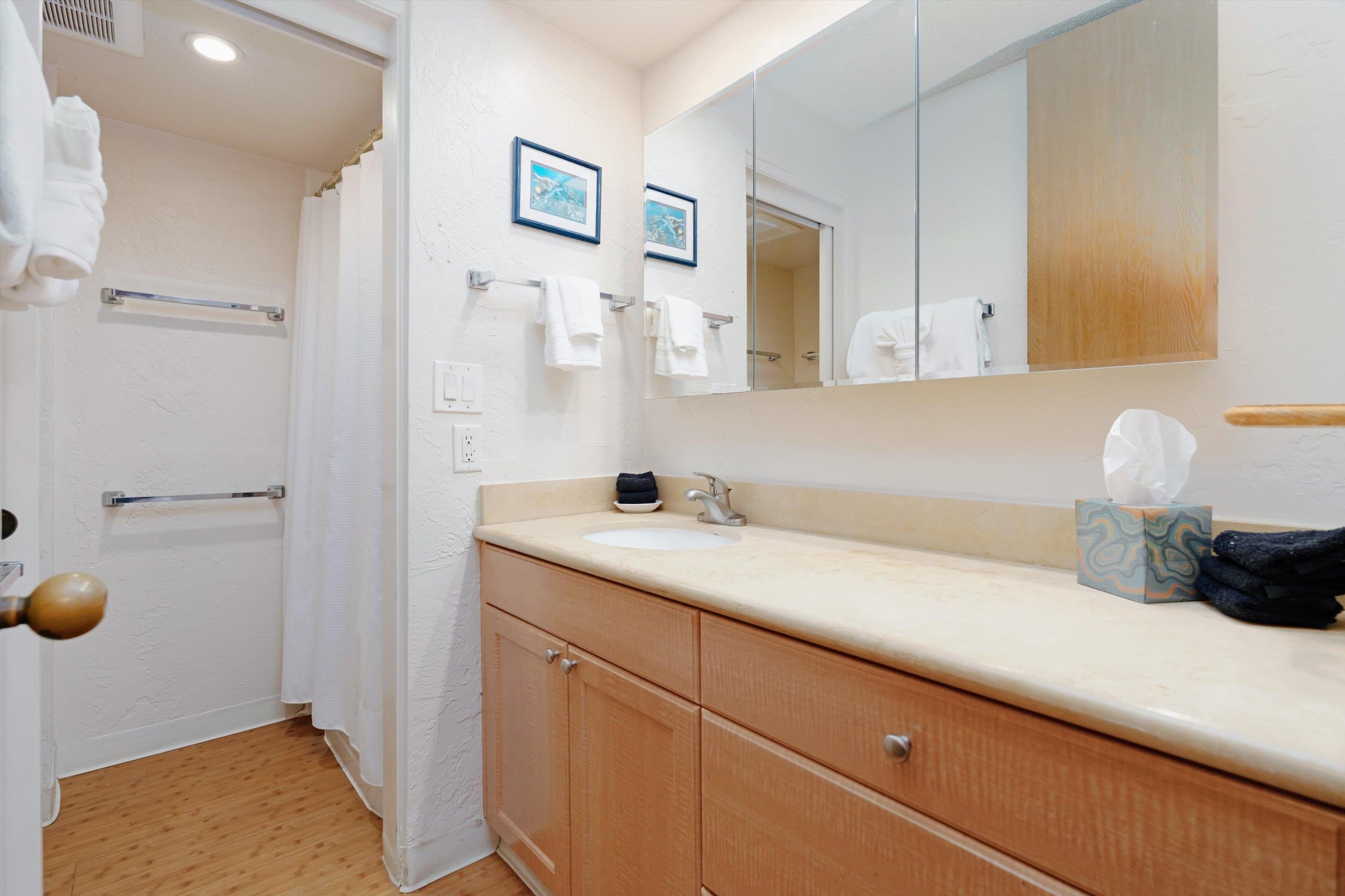 Papakea Resort I II condo # D208, Lahaina, Hawaii - photo 19 of 38
