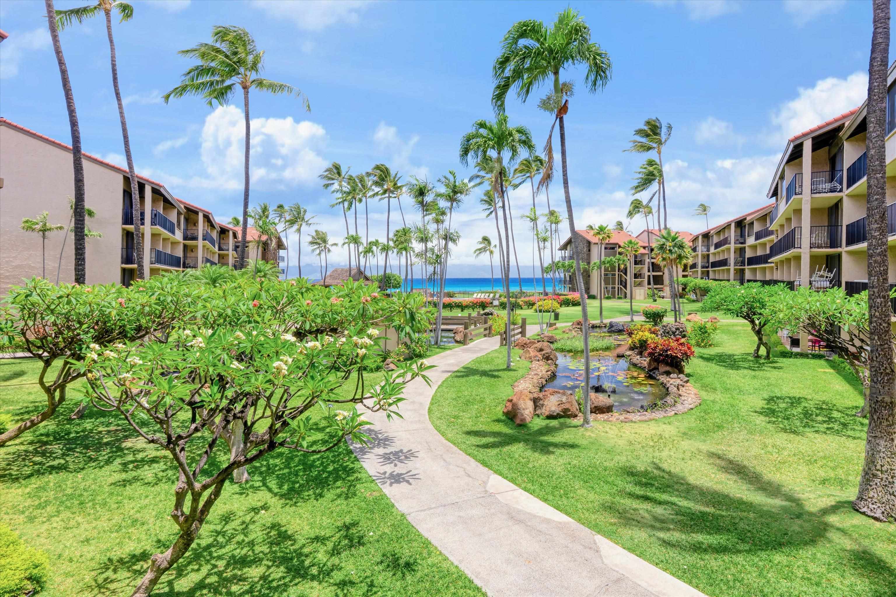 Papakea Resort I II condo # D208, Lahaina, Hawaii - photo 23 of 38