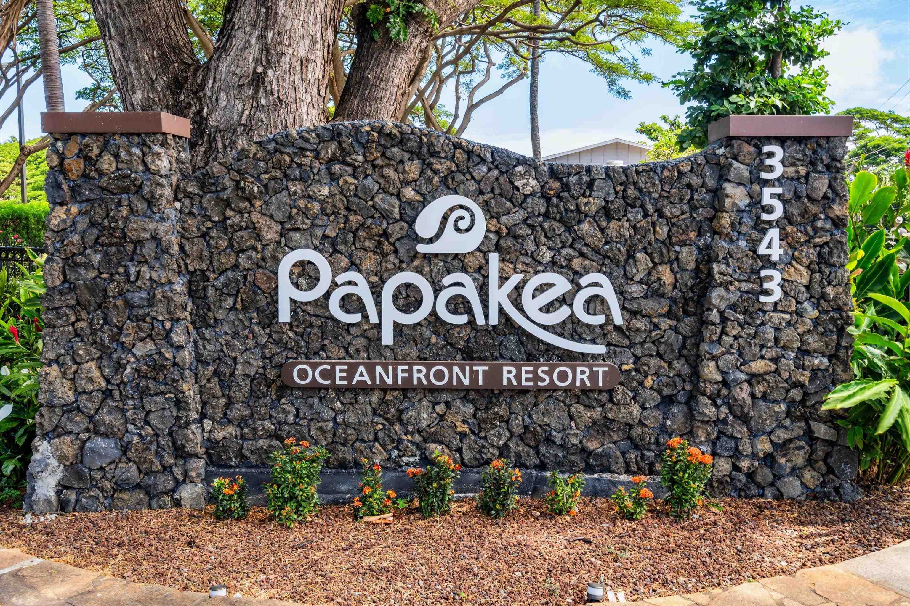 Papakea Resort I II condo # D208, Lahaina, Hawaii - photo 27 of 38