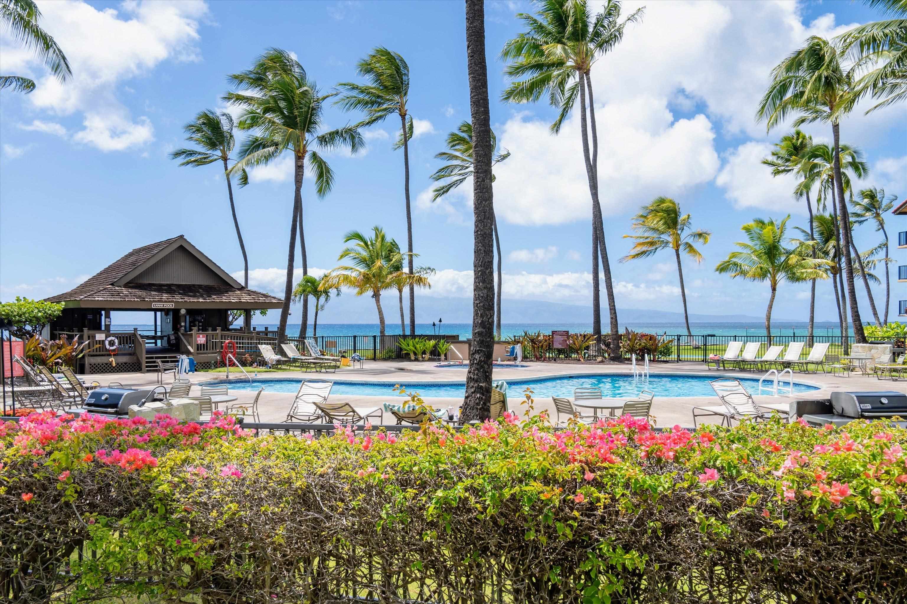Papakea Resort I II condo # D208, Lahaina, Hawaii - photo 35 of 38