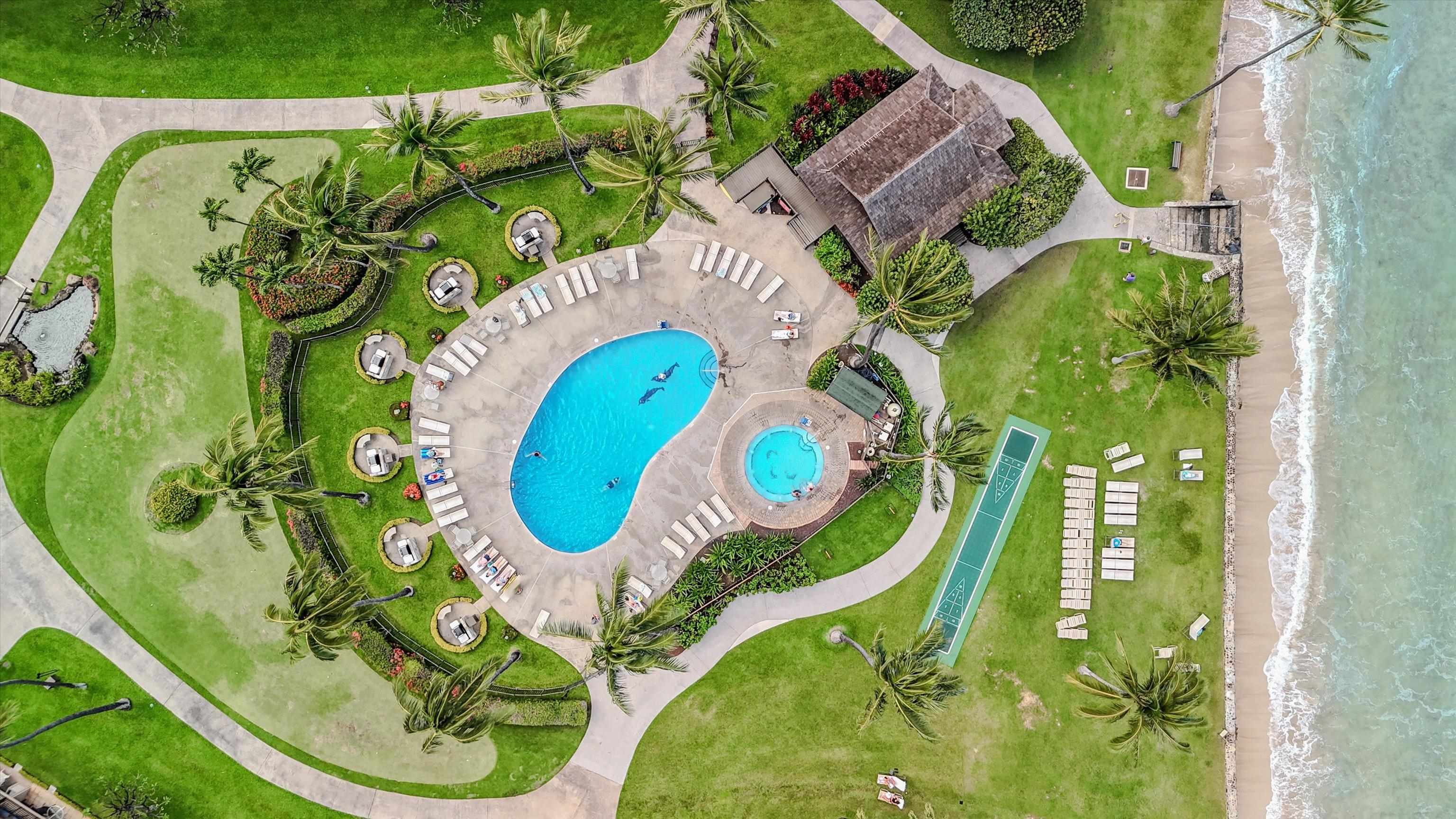 Papakea Resort I II condo # D208, Lahaina, Hawaii - photo 36 of 38