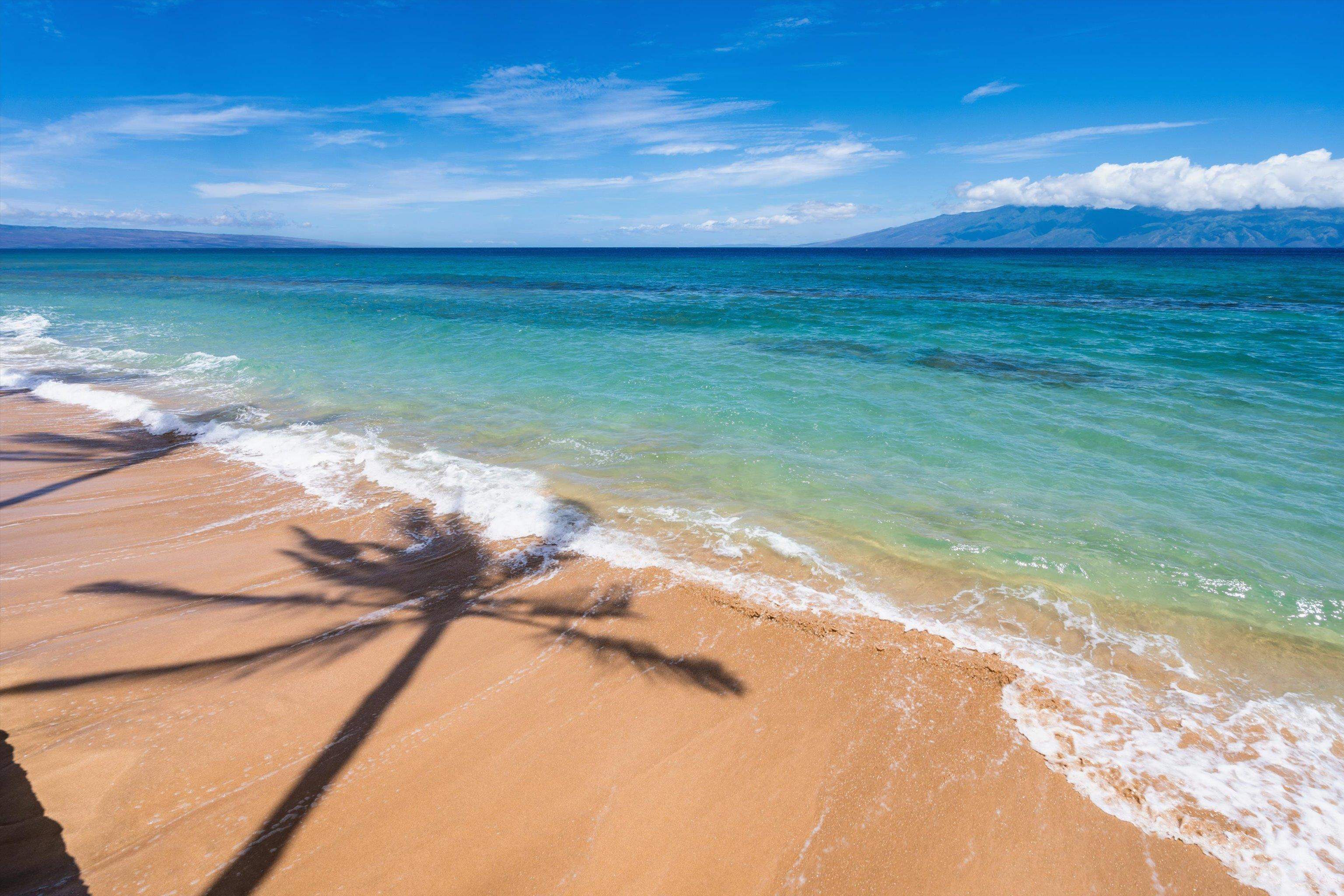 Papakea Resort I II condo # D208, Lahaina, Hawaii - photo 38 of 38