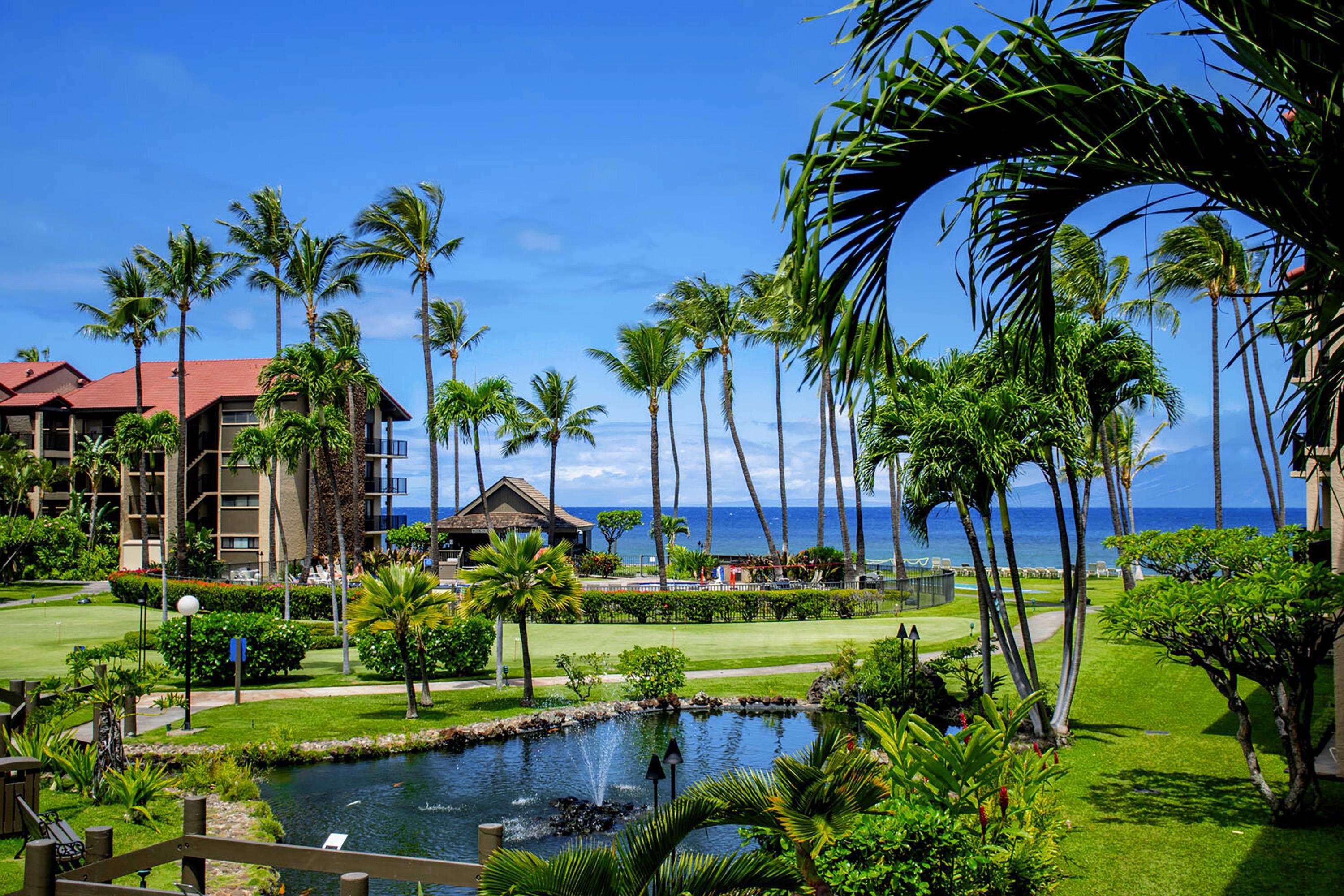 Papakea Resort I II condo # D-209, Lahaina, Hawaii - photo 16 of 40