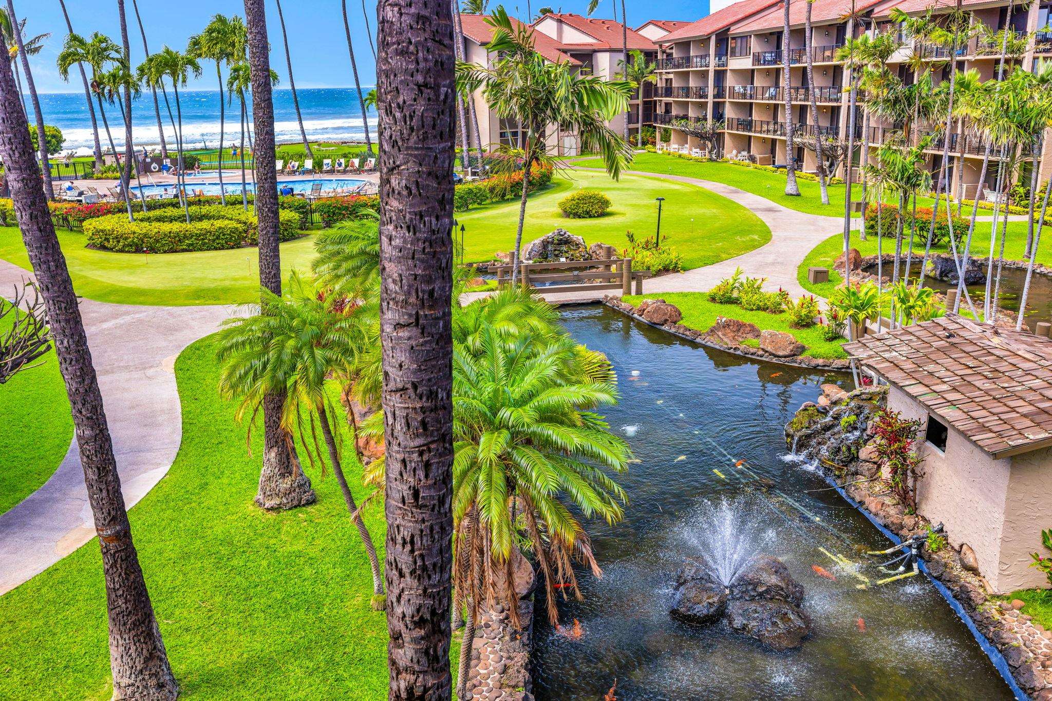 Papakea Resort I II condo # D303, Lahaina, Hawaii - photo 22 of 43
