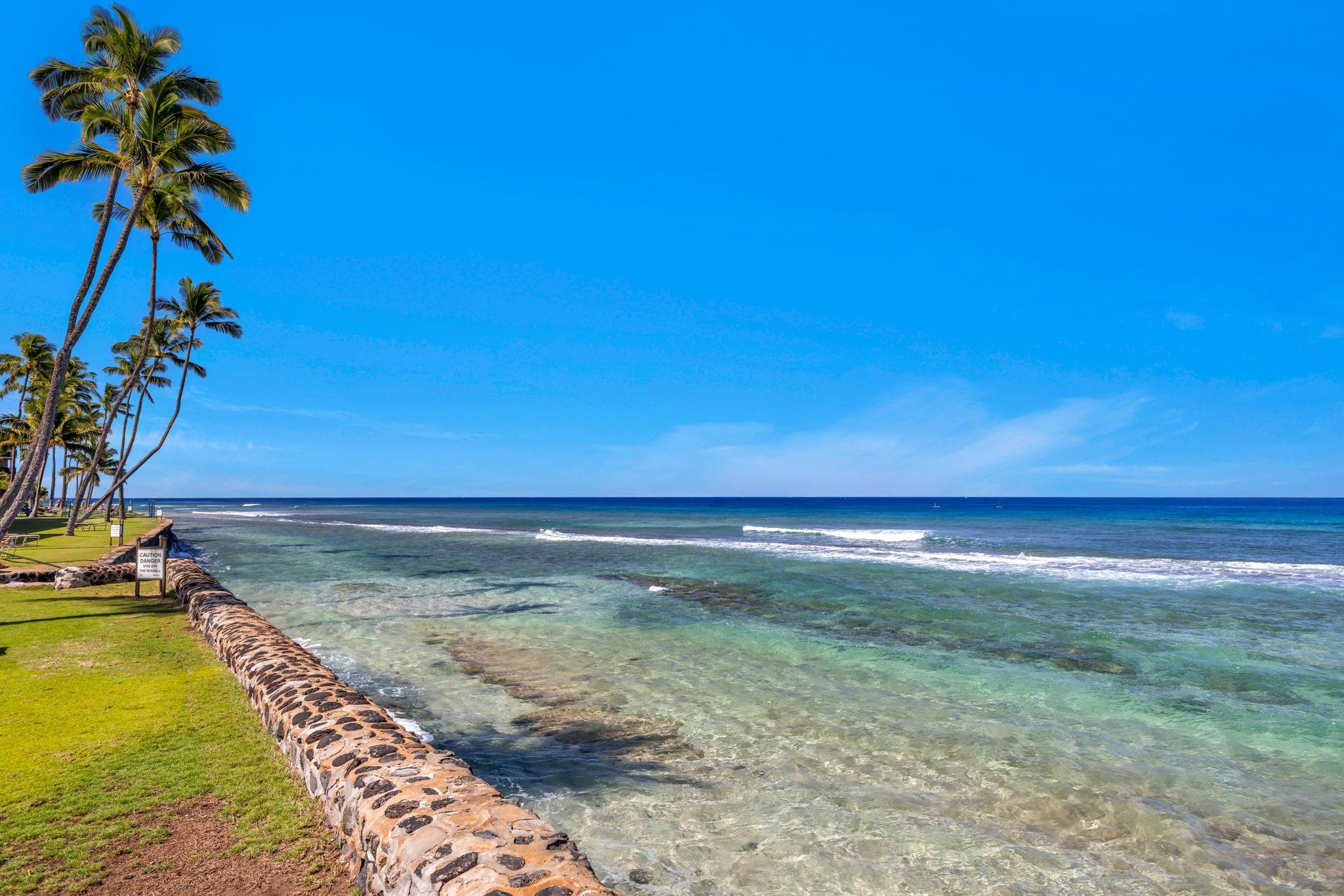 Papakea Resort I II condo # D303, Lahaina, Hawaii - photo 25 of 43