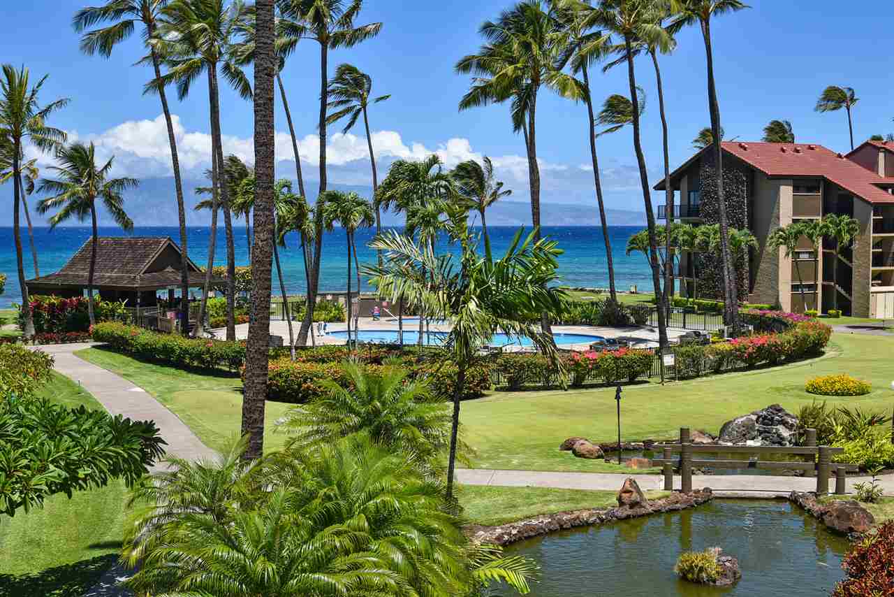 Papakea Resort I II condo # D304, Lahaina, Hawaii - photo 11 of 30