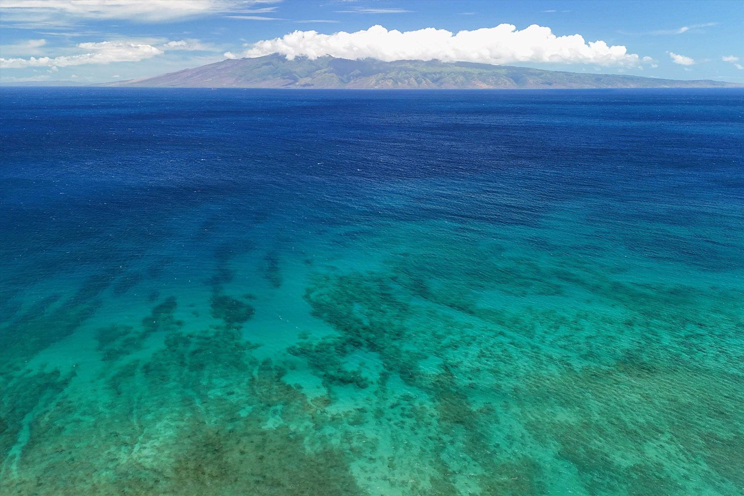 Papakea Resort I II condo # D307, Lahaina, Hawaii - photo 36 of 43