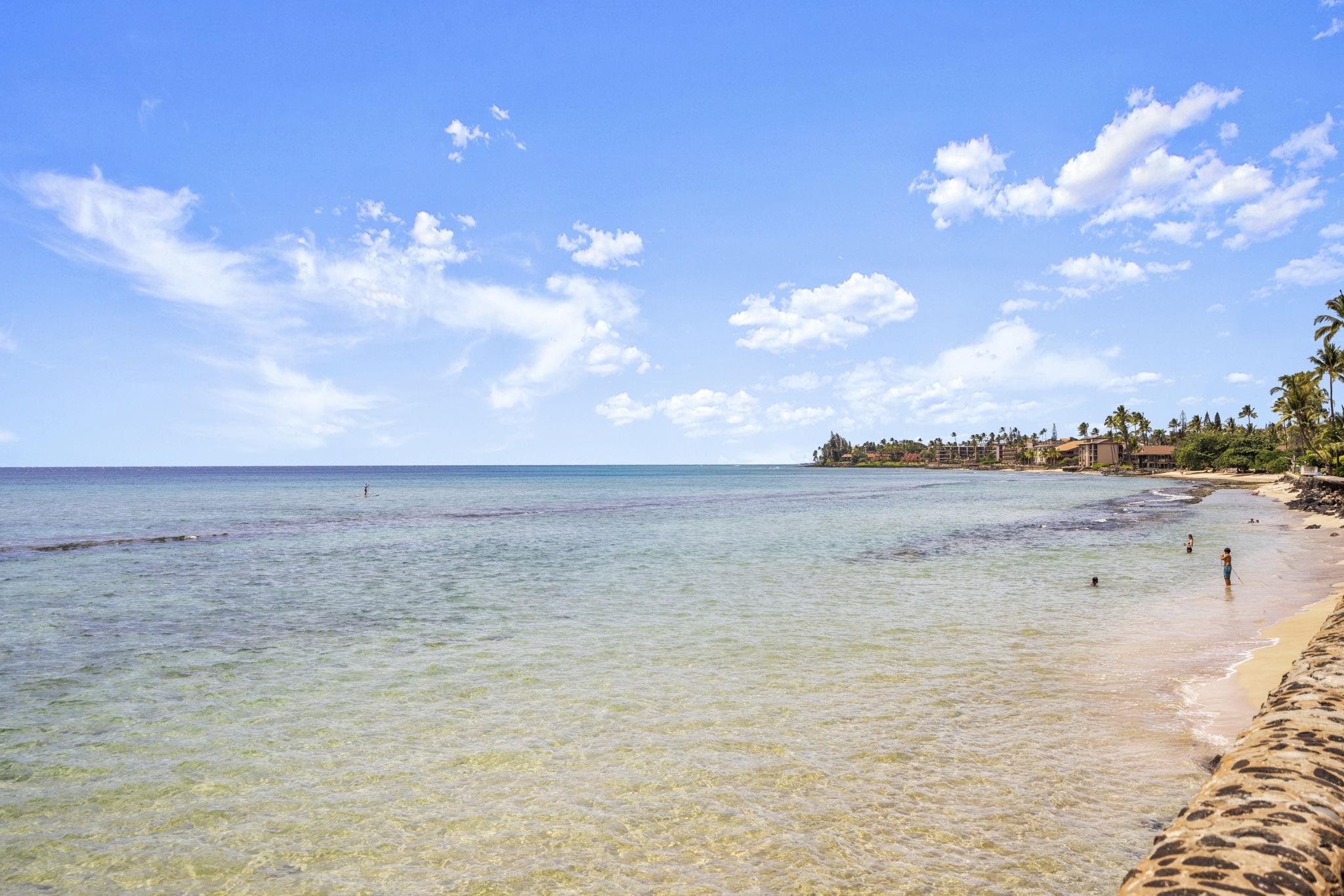 Papakea Resort I II condo # D-401, Lahaina, Hawaii - photo 30 of 37