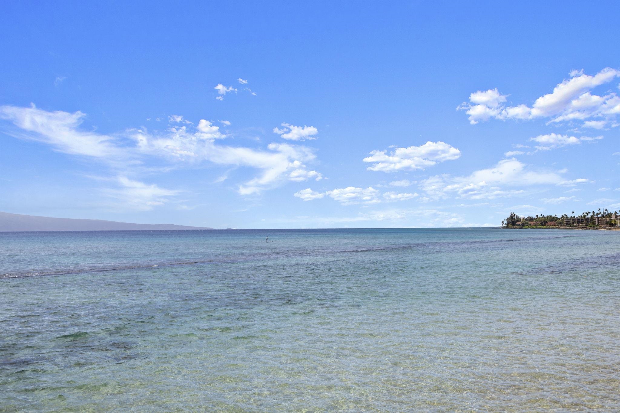 Papakea Resort I II condo # D-401, Lahaina, Hawaii - photo 33 of 37