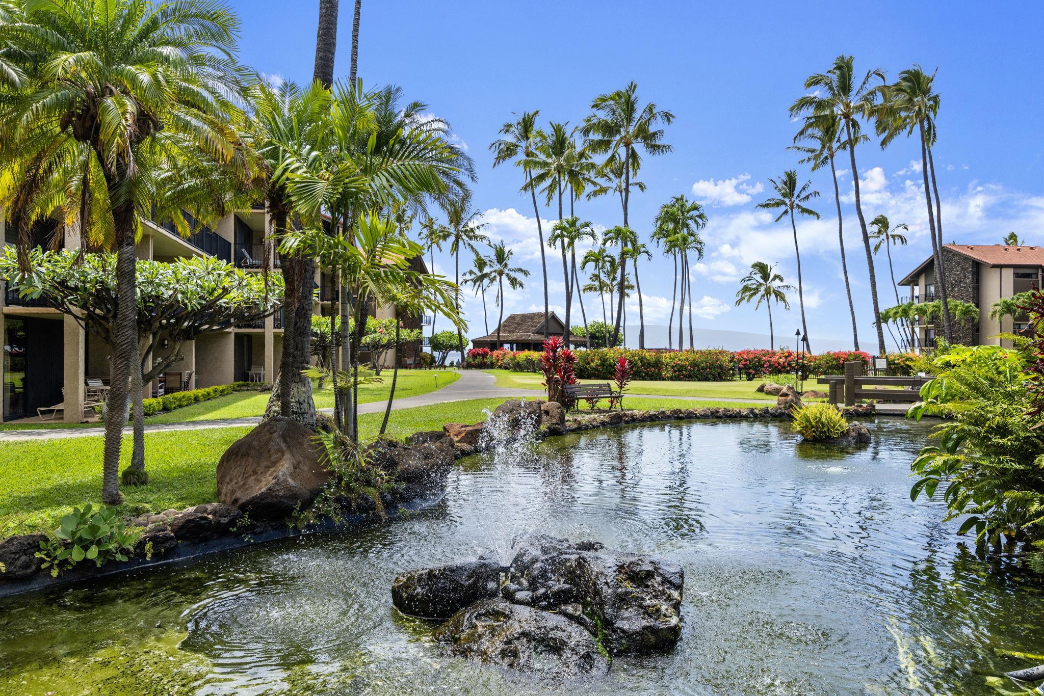 Papakea Resort I II condo # D-401, Lahaina, Hawaii - photo 36 of 37
