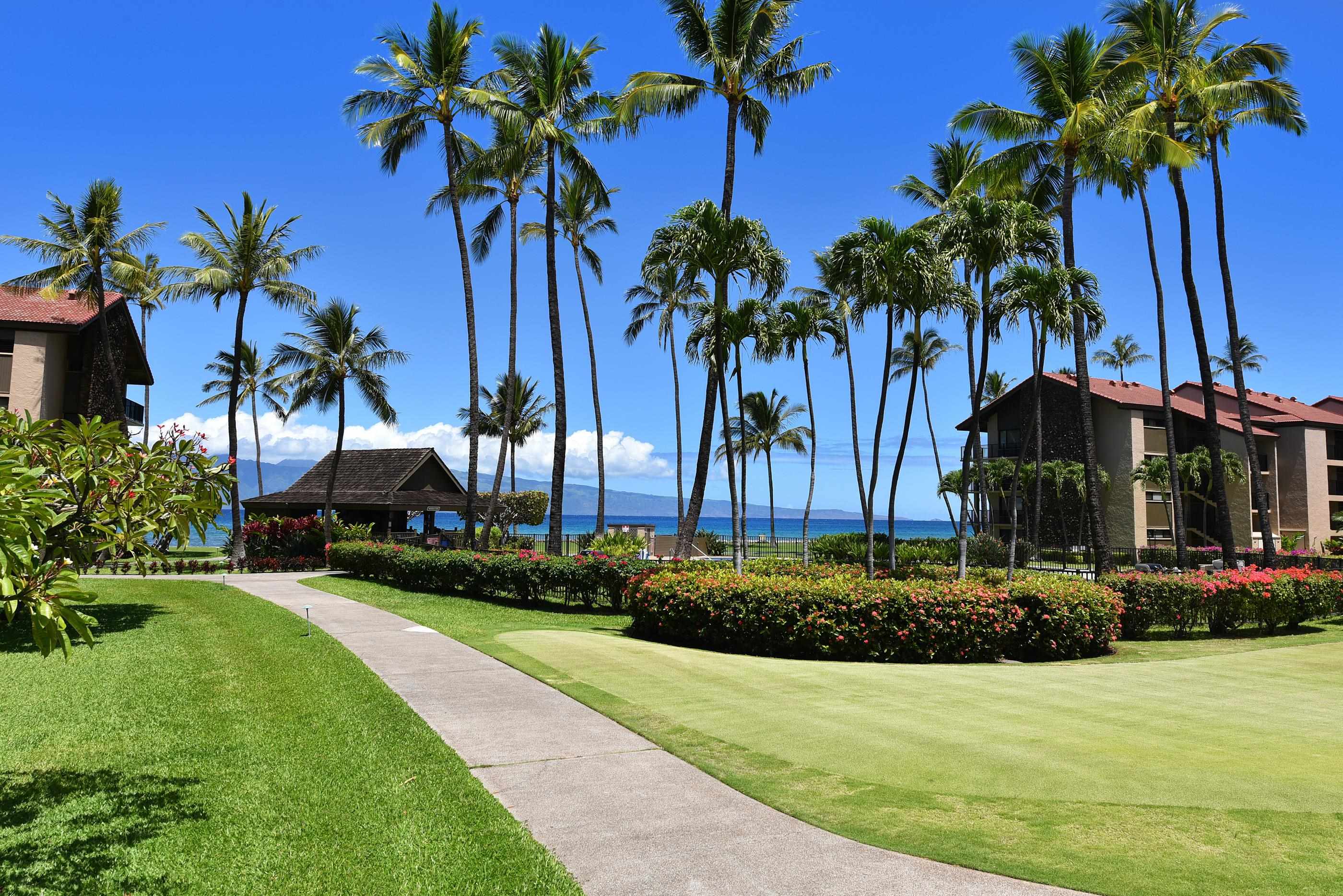 Papakea Resort I II condo # E106, Lahaina, Hawaii - photo 29 of 46