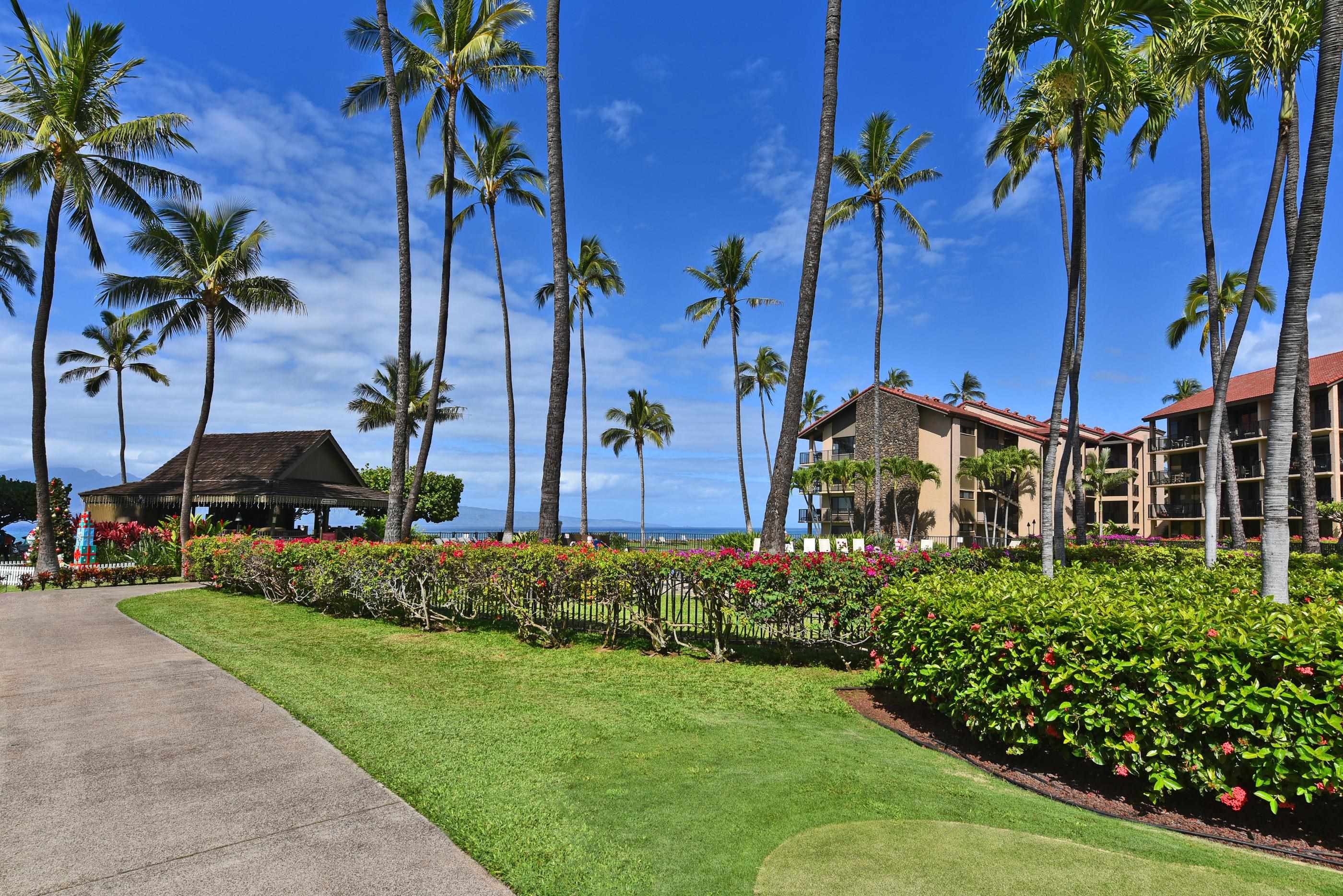 Papakea Resort I II condo # E106, Lahaina, Hawaii - photo 30 of 46