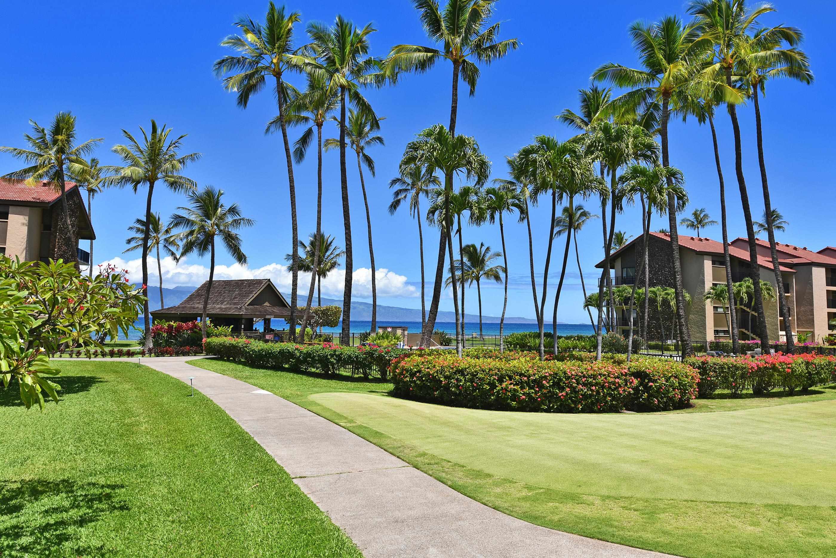 Papakea Resort I II condo # E106, Lahaina, Hawaii - photo 44 of 46