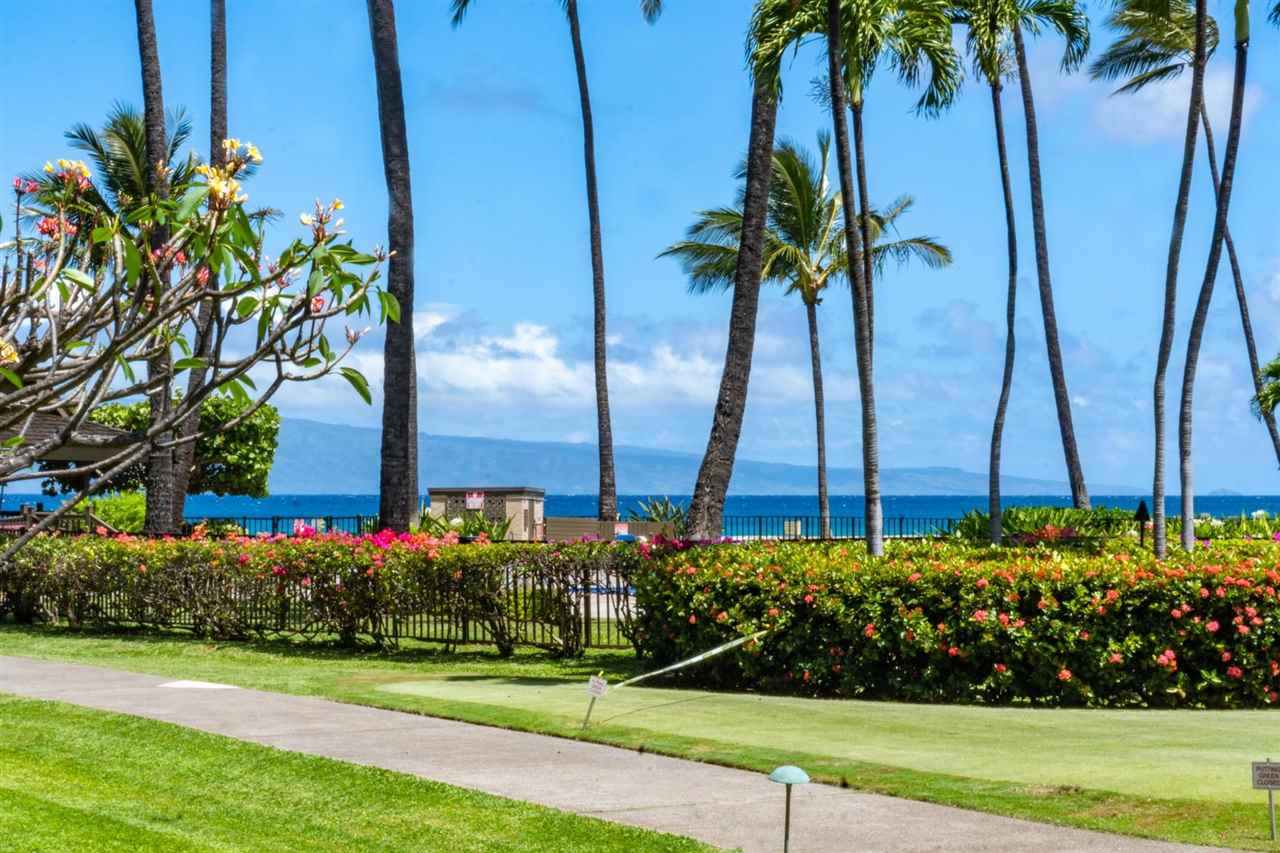 Papakea Resort I II condo # E110, Lahaina, Hawaii - photo 20 of 28