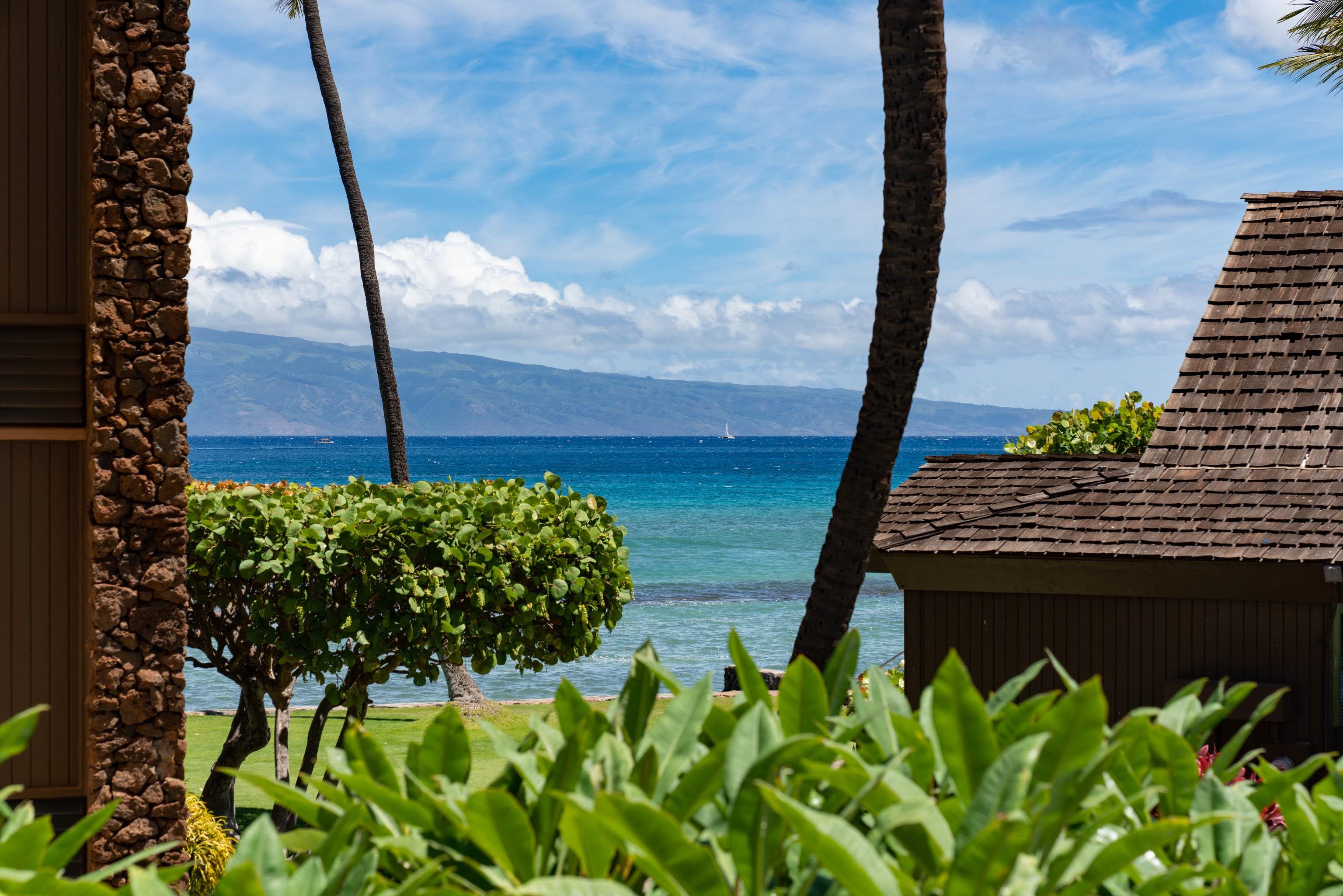 Papakea Resort I II condo # E201, Lahaina, Hawaii - photo 24 of 28