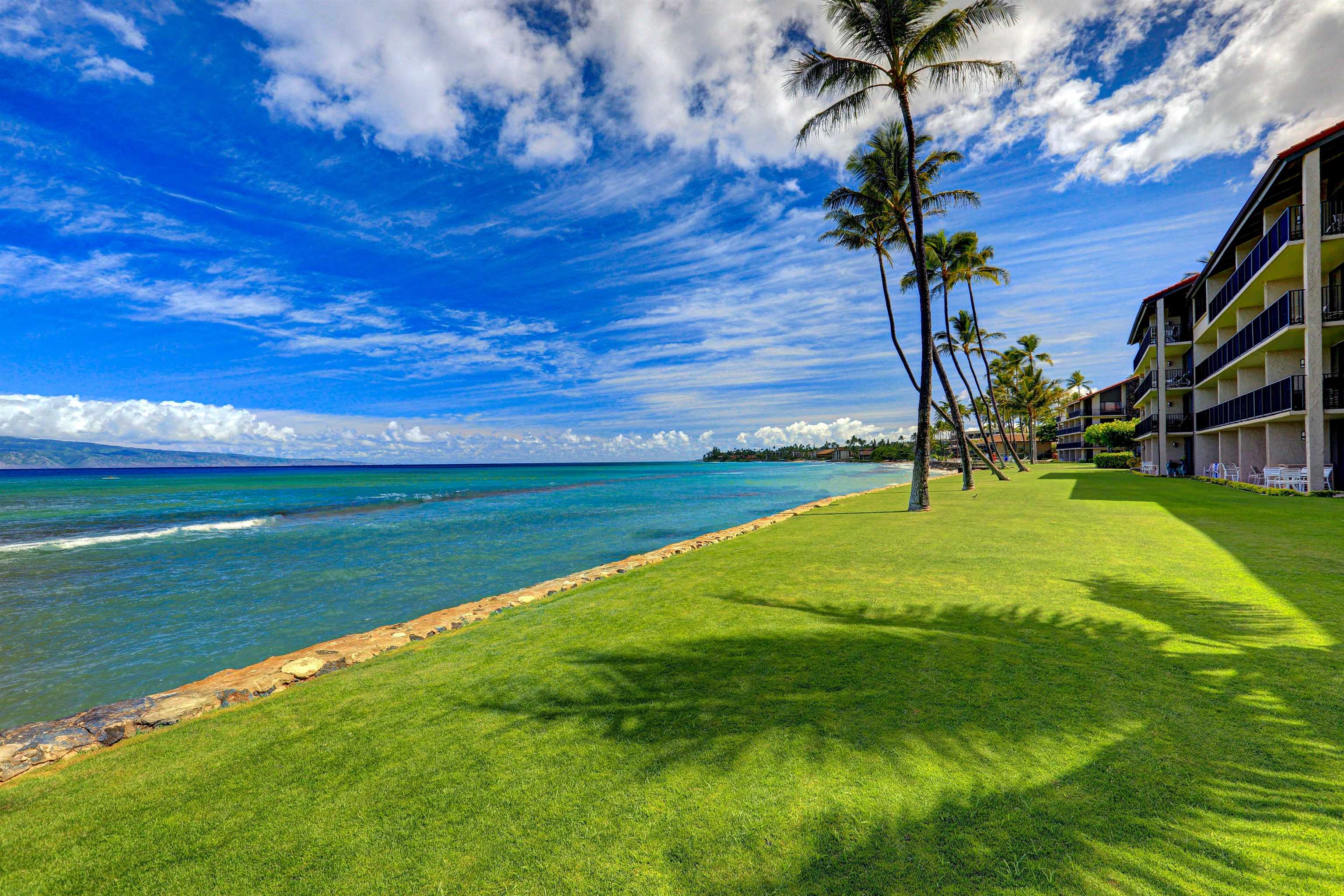 Papakea Resort I II condo # E203, Lahaina, Hawaii - photo 25 of 37