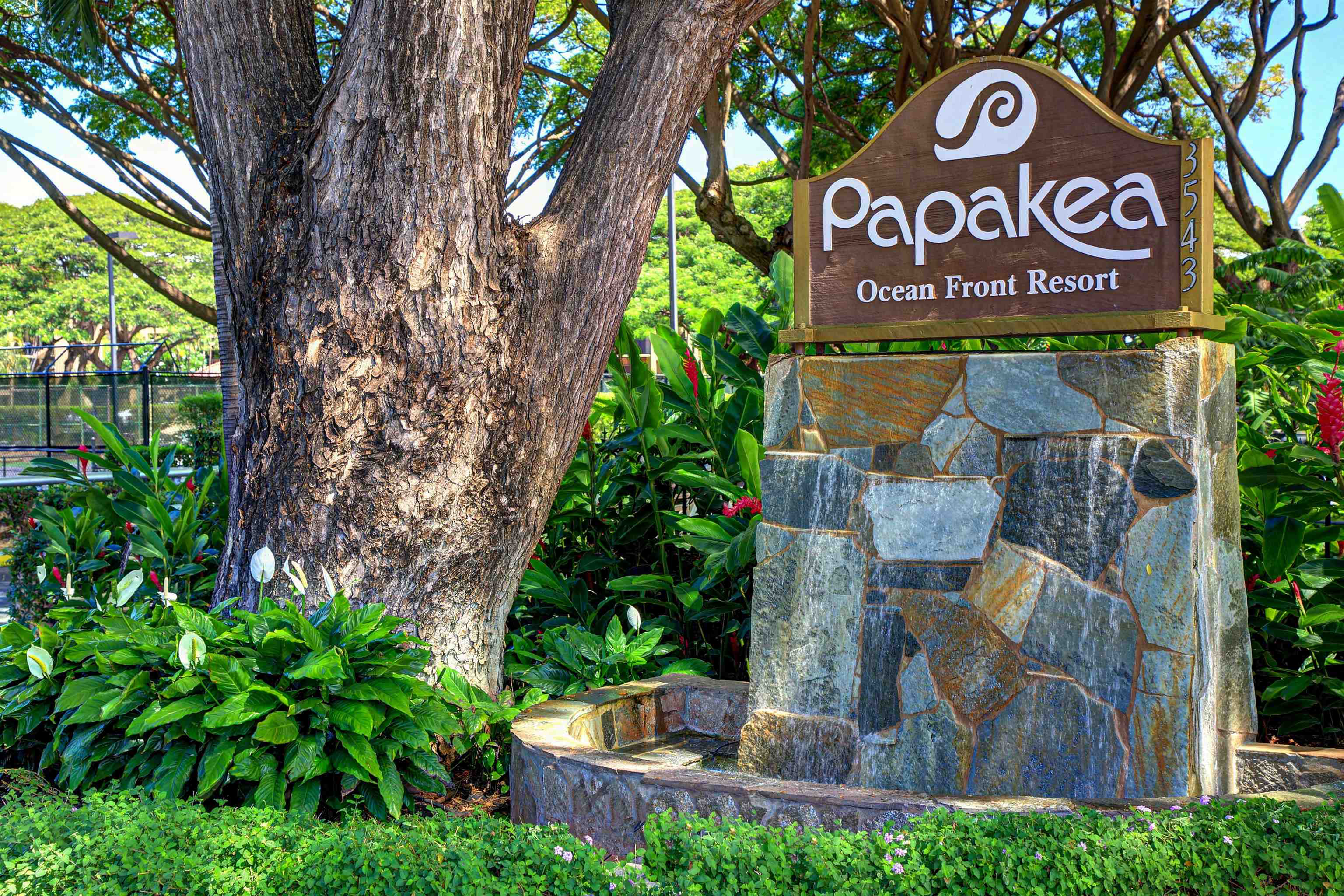 Papakea Resort I II condo # E203, Lahaina, Hawaii - photo 31 of 37