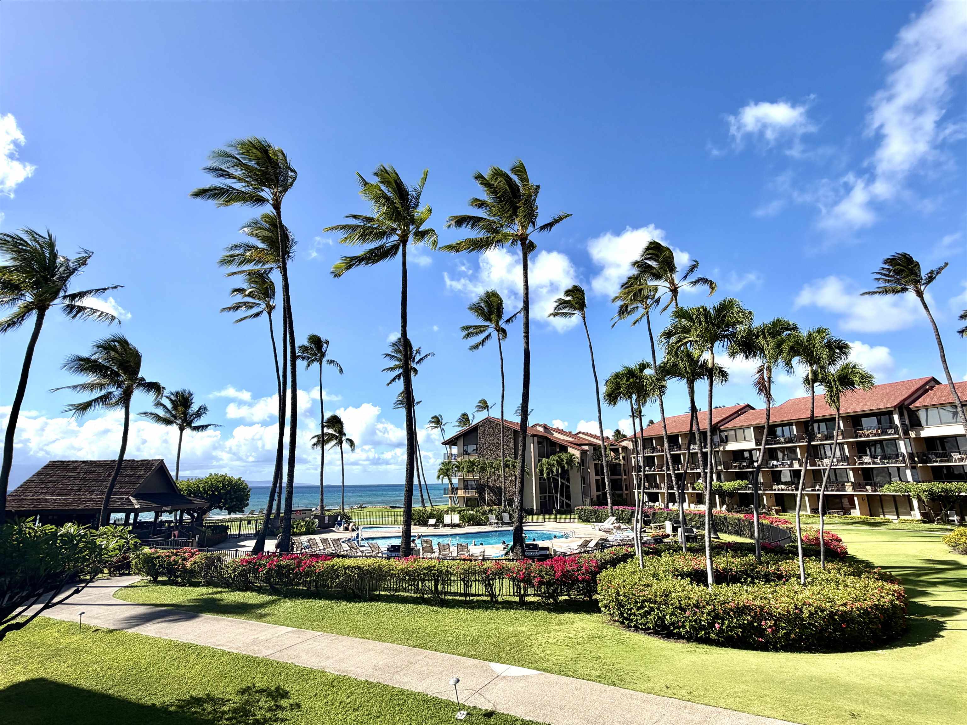 Papakea Resort I II condo # E-206, Lahaina, Hawaii - photo 2 of 29
