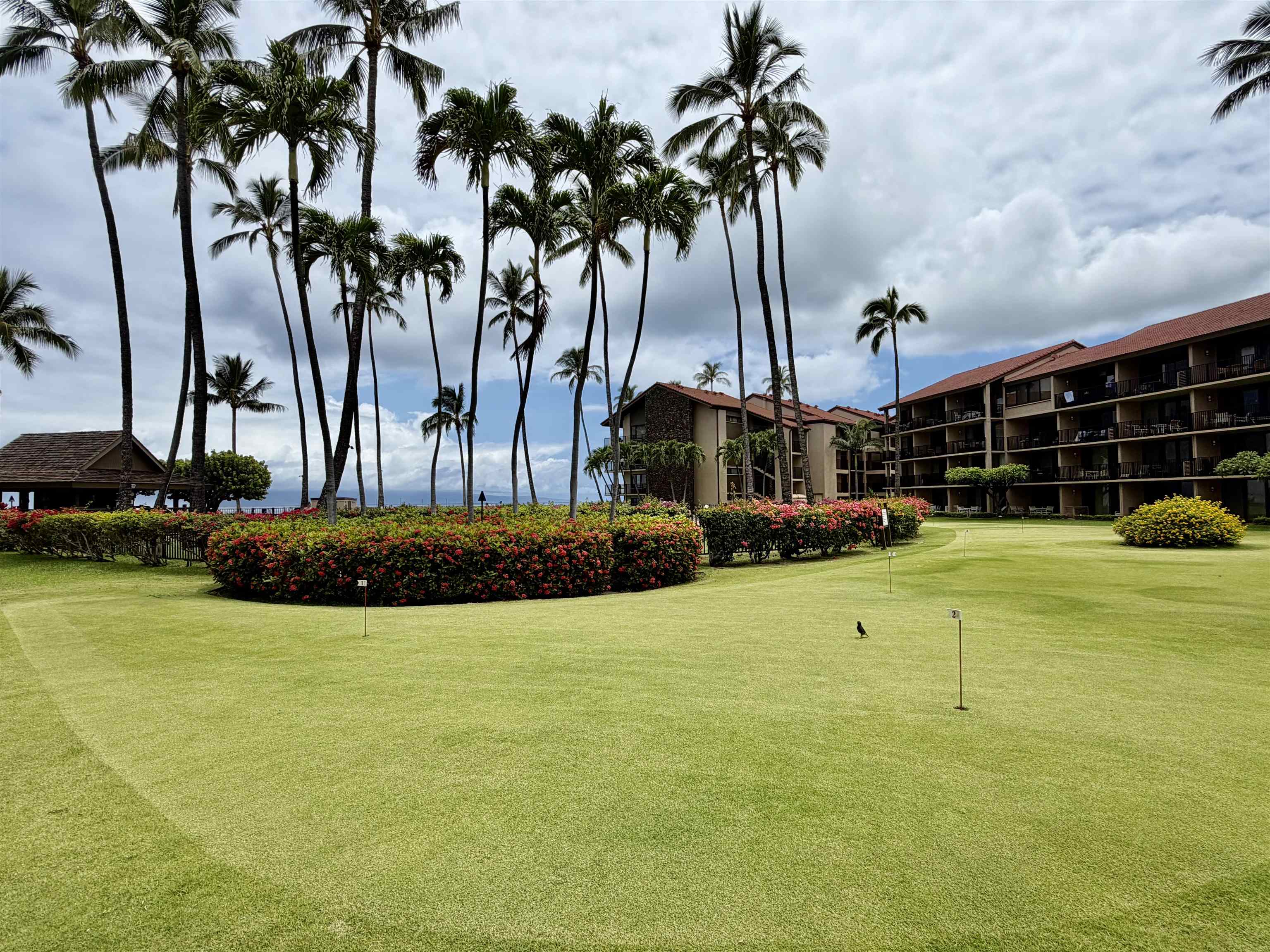 Papakea Resort I II condo # E-206, Lahaina, Hawaii - photo 28 of 29
