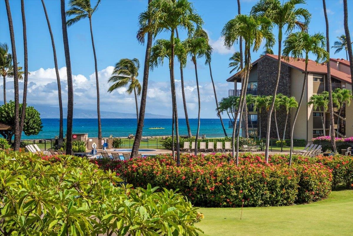 Papakea Resort I II condo # E209, Lahaina, Hawaii - photo 23 of 34