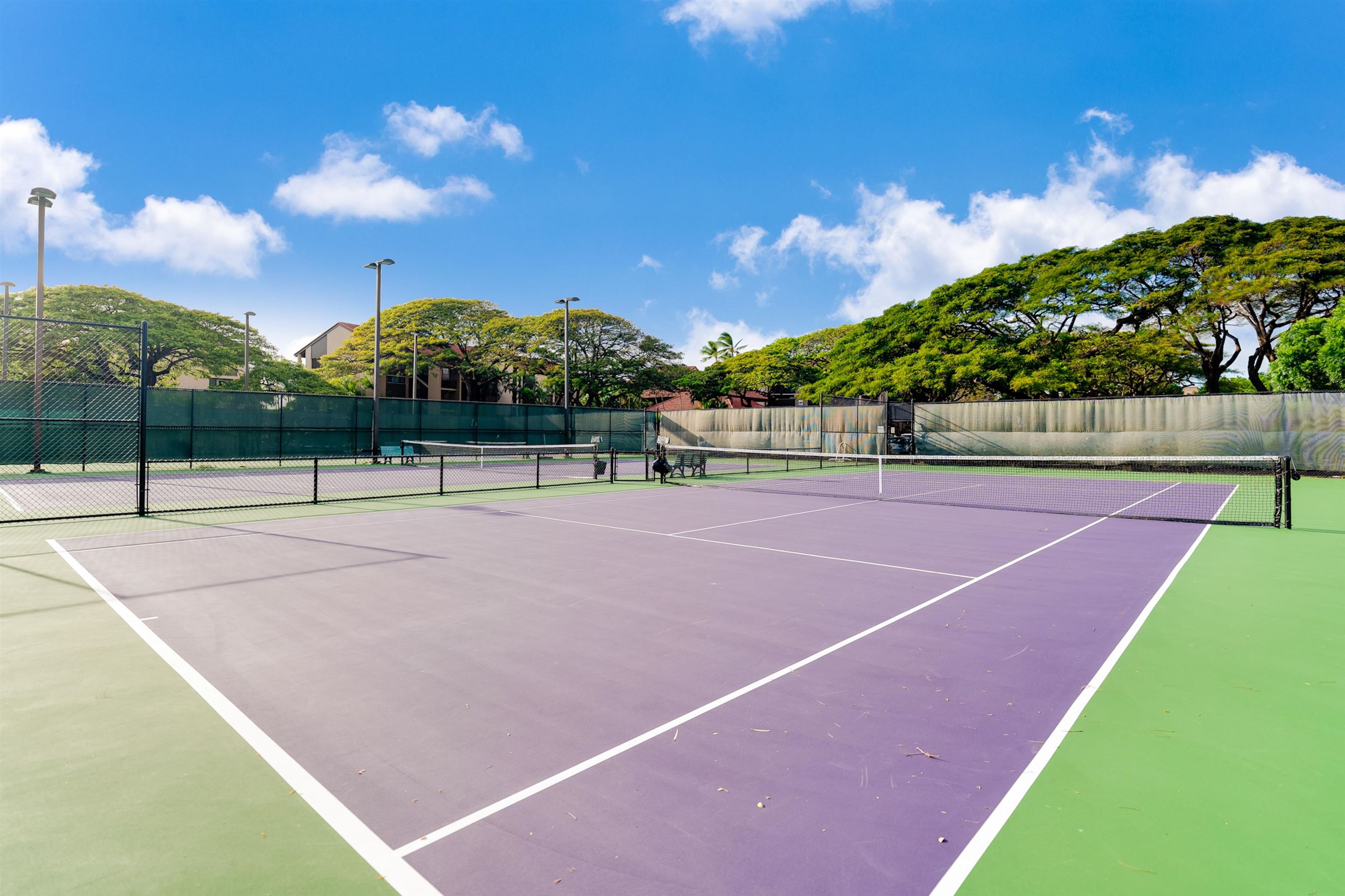 Papakea Resort I II condo # E404, Lahaina, Hawaii - photo 22 of 24