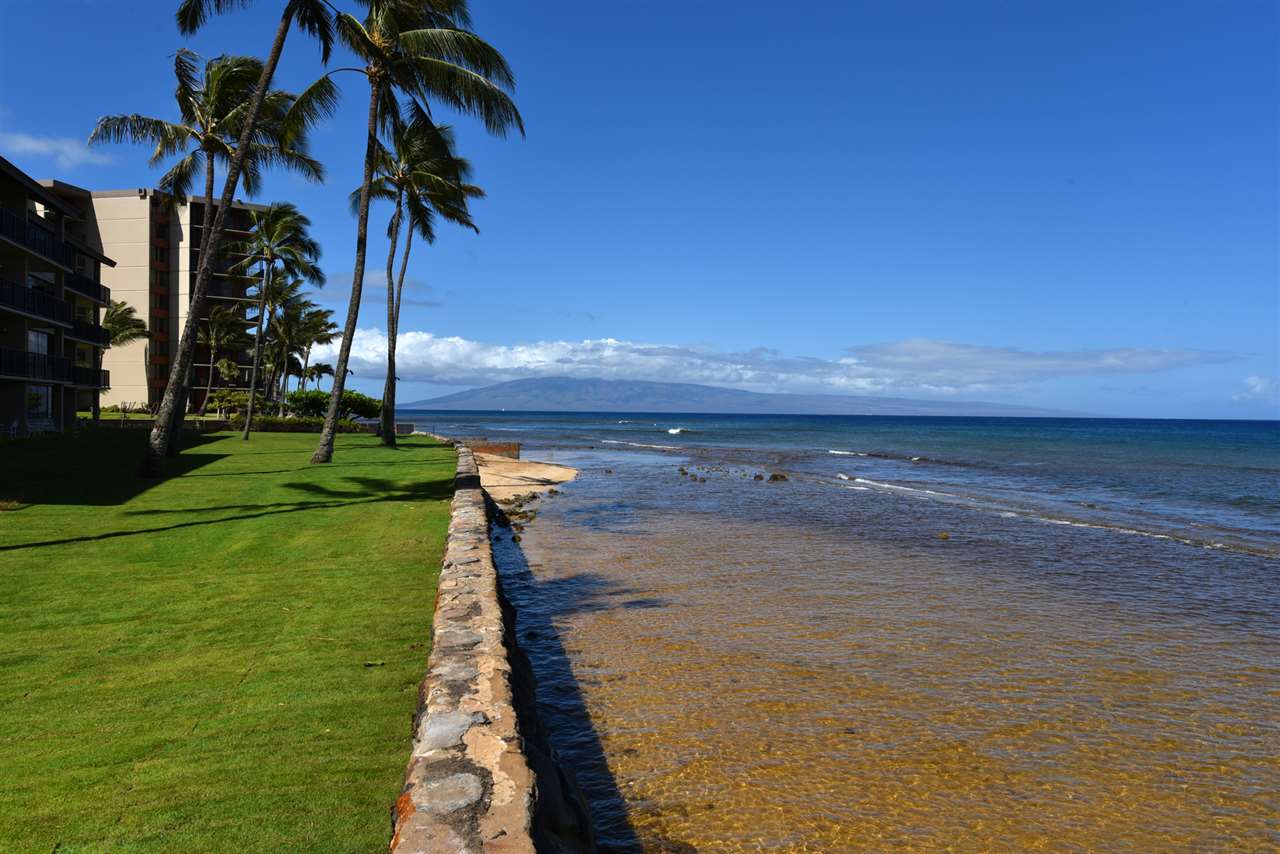 Papakea Resort I II condo # F-106, Lahaina, Hawaii - photo 12 of 30