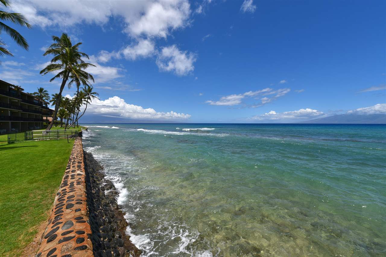 Papakea Resort I II condo # F-106, Lahaina, Hawaii - photo 24 of 30