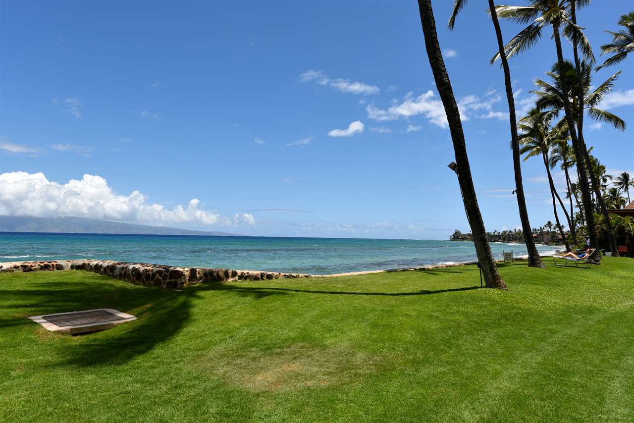 Papakea Resort I II condo # F-106, Lahaina, Hawaii - photo 8 of 30