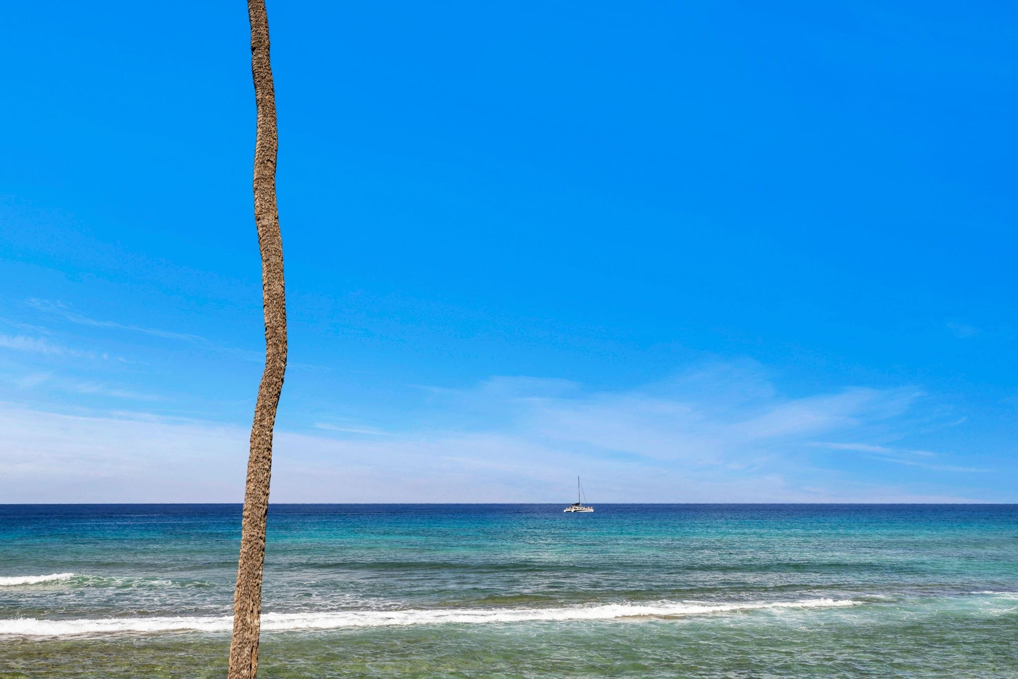 Papakea Resort I II condo # F209, Lahaina, Hawaii - photo 21 of 38